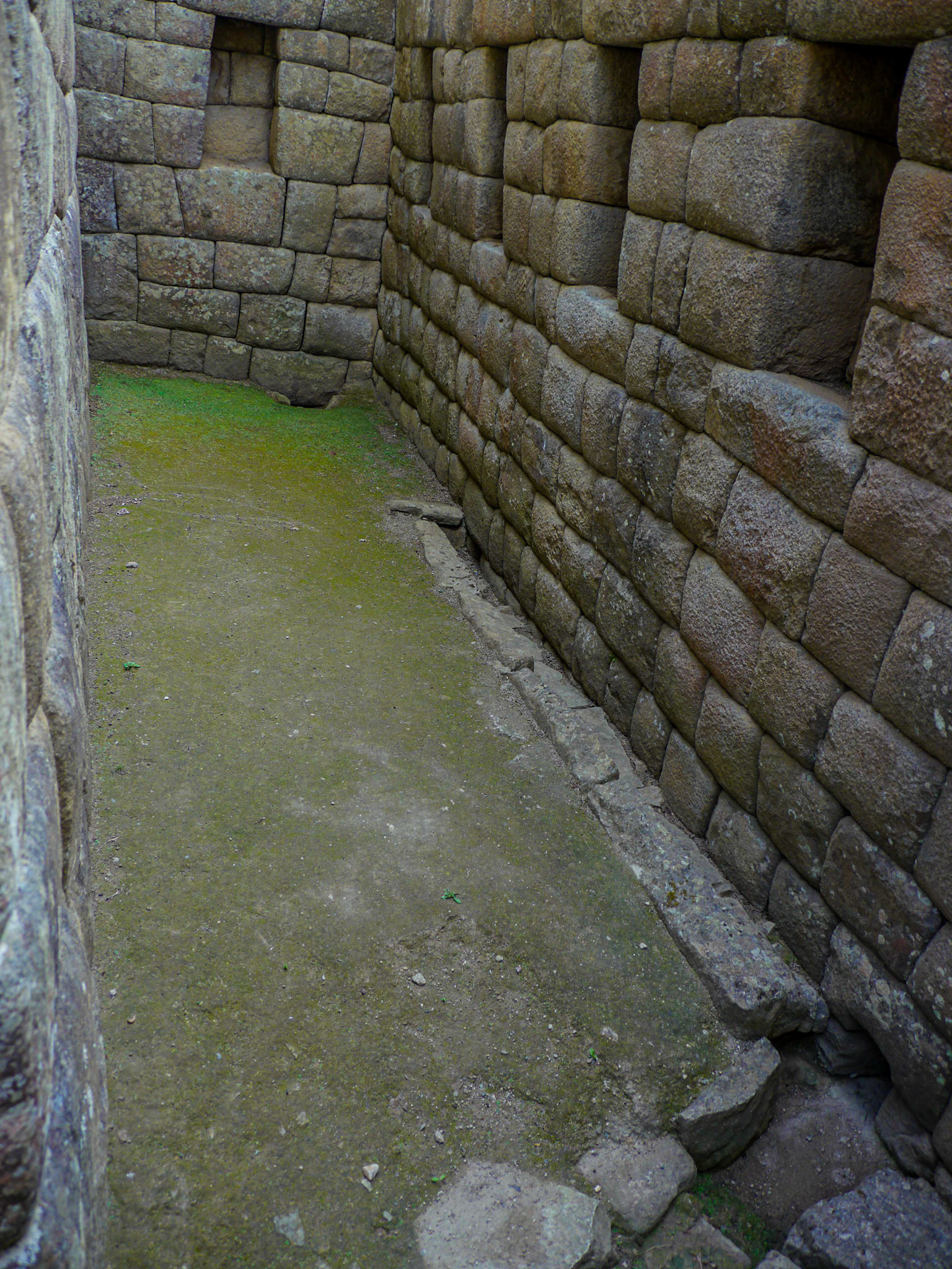 P1090100 Machu Picchu