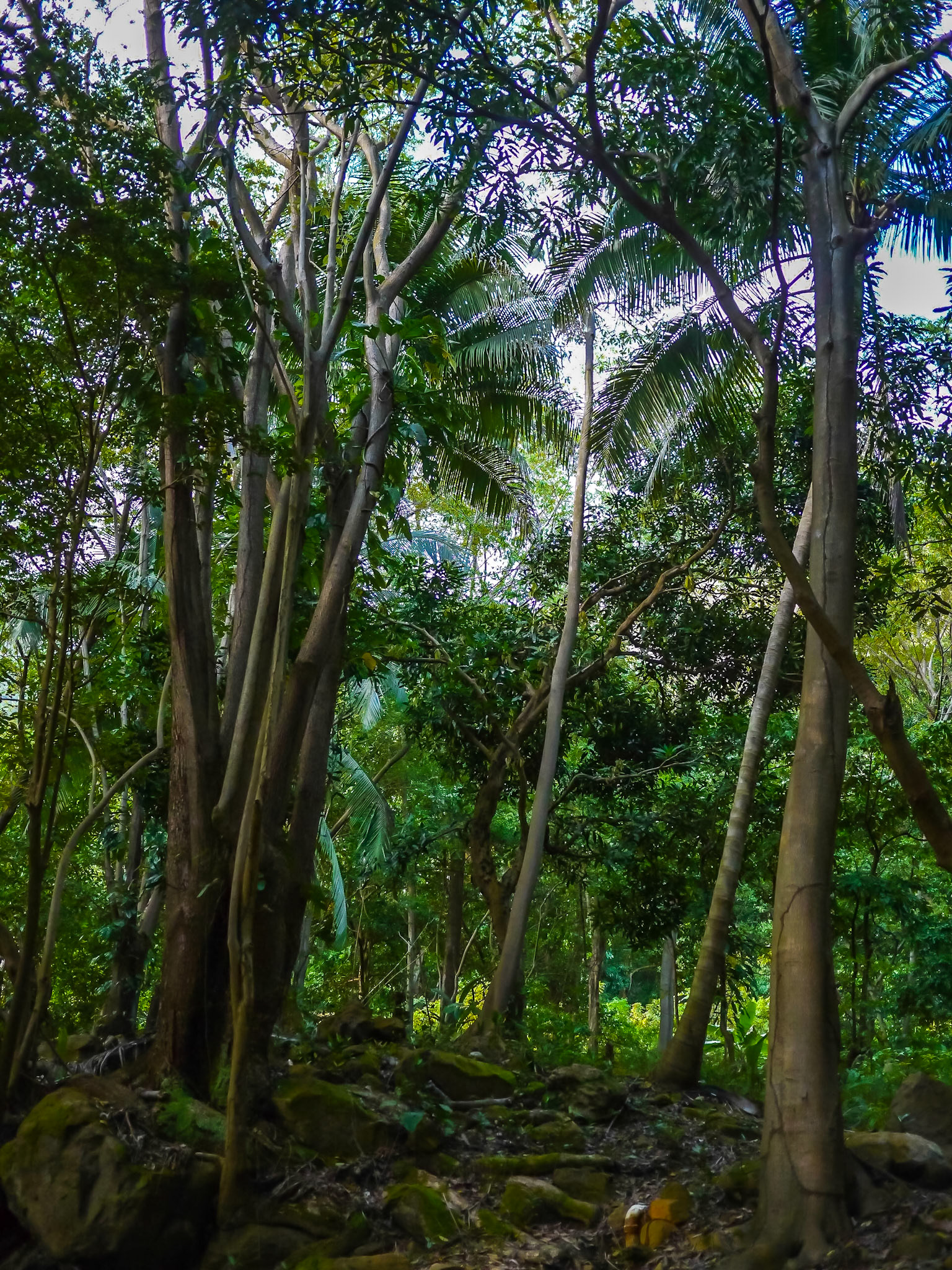 P1040886