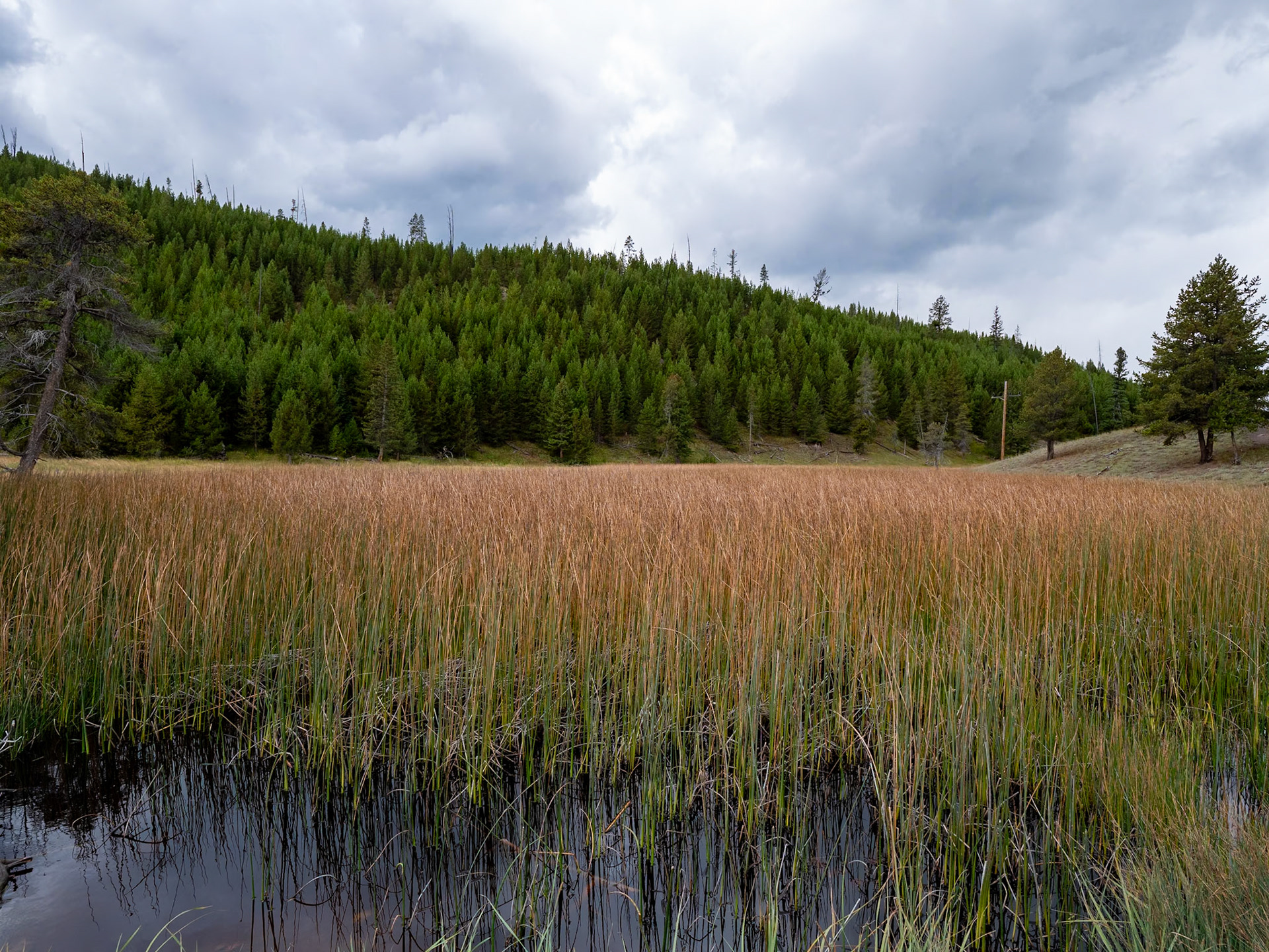 P1124298 Yellowstone National Park
