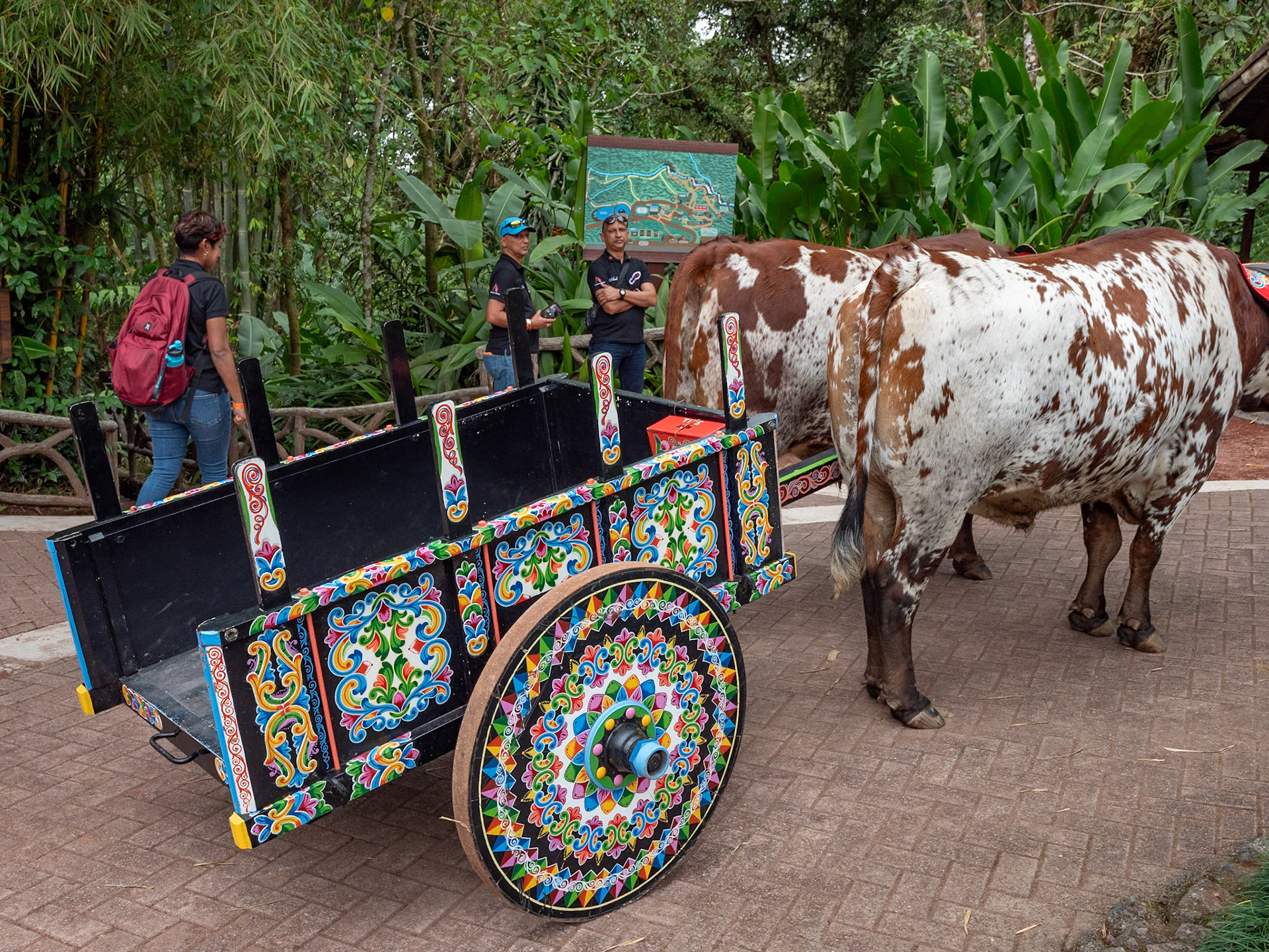 P1146496 As well a decorated Cow Cart