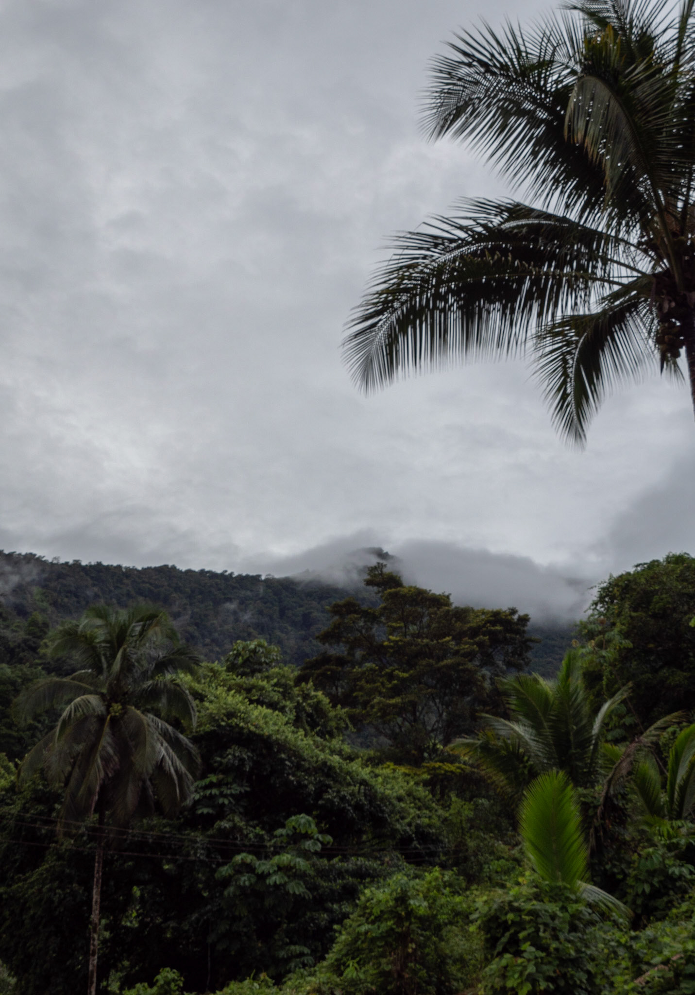 P1072516 An overcast day
