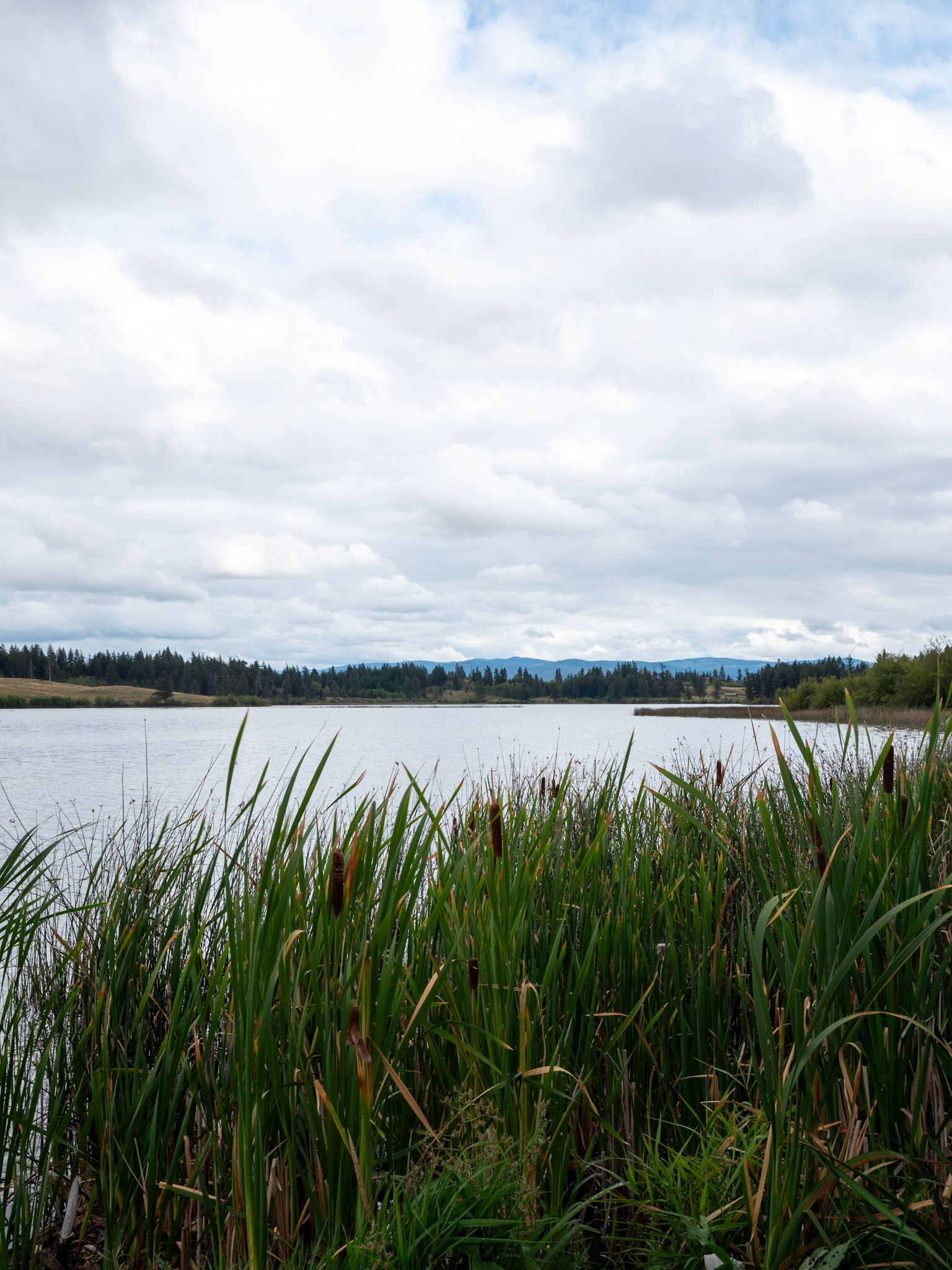 Lake off Kamloops Highway