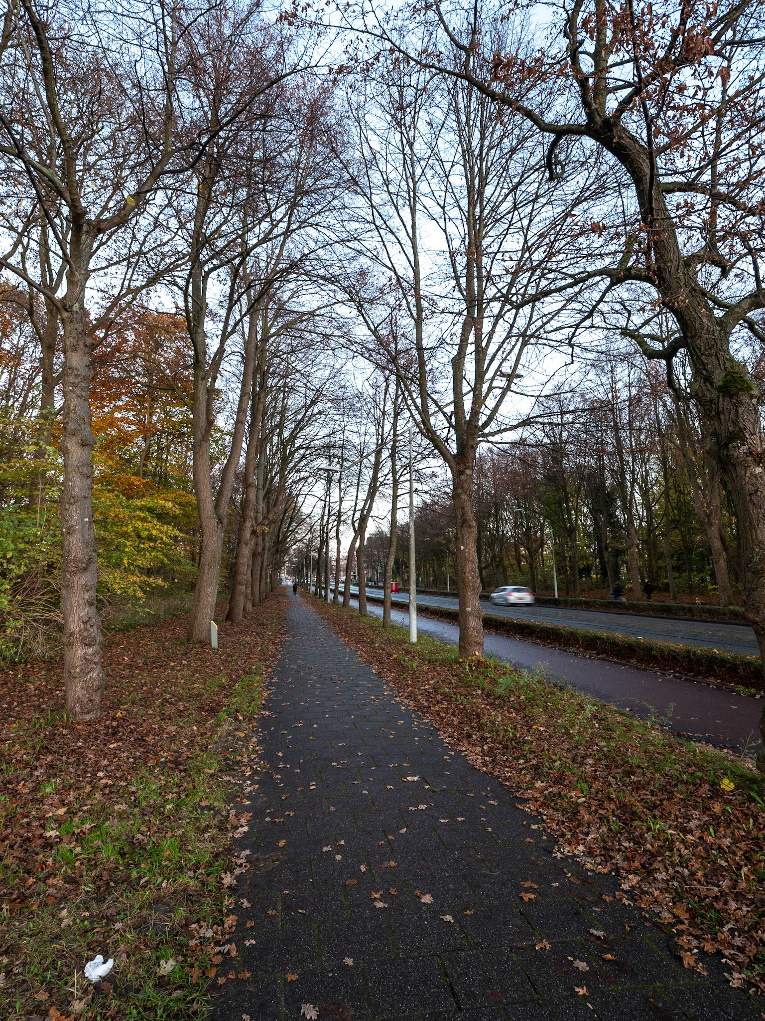 P1068100 Vondelpark