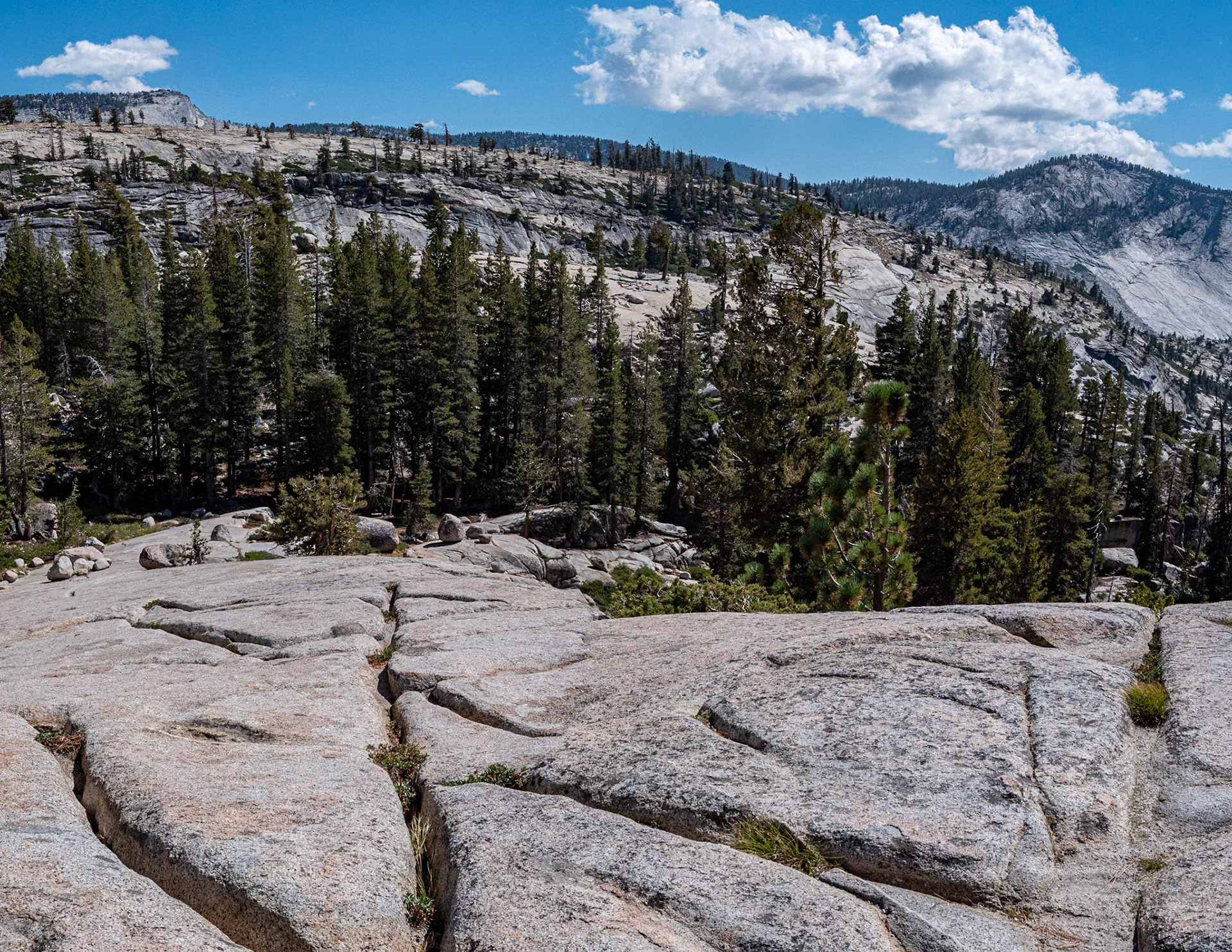 P1135216 Yosemite National Park