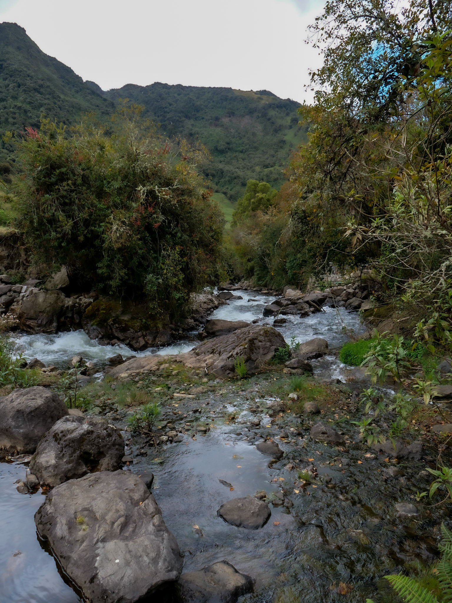 P1012014 Papallacta, Equador