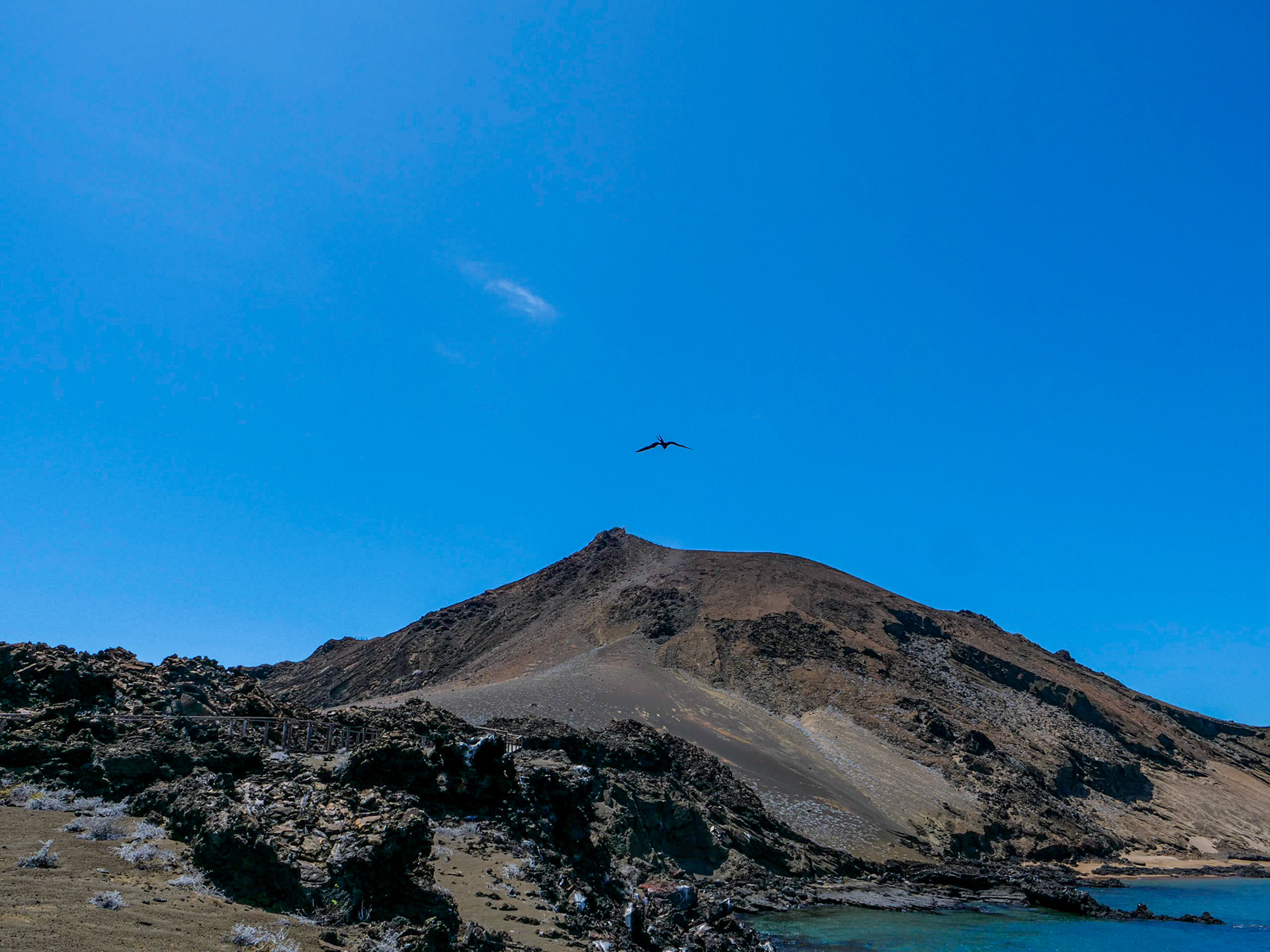 P1001560 Bartolomé Island Galapagos