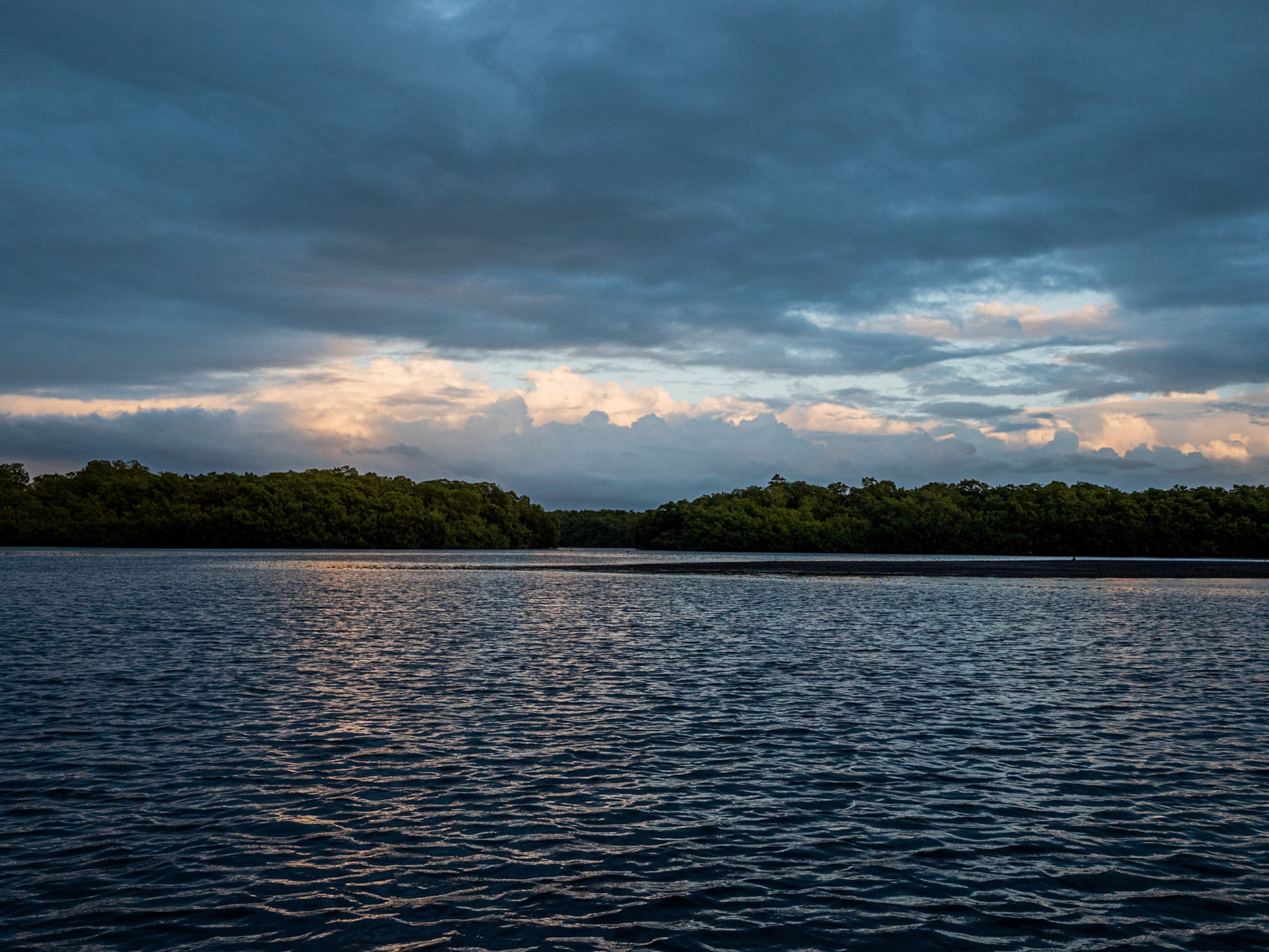 P1054840 Caroni Bird Santuary