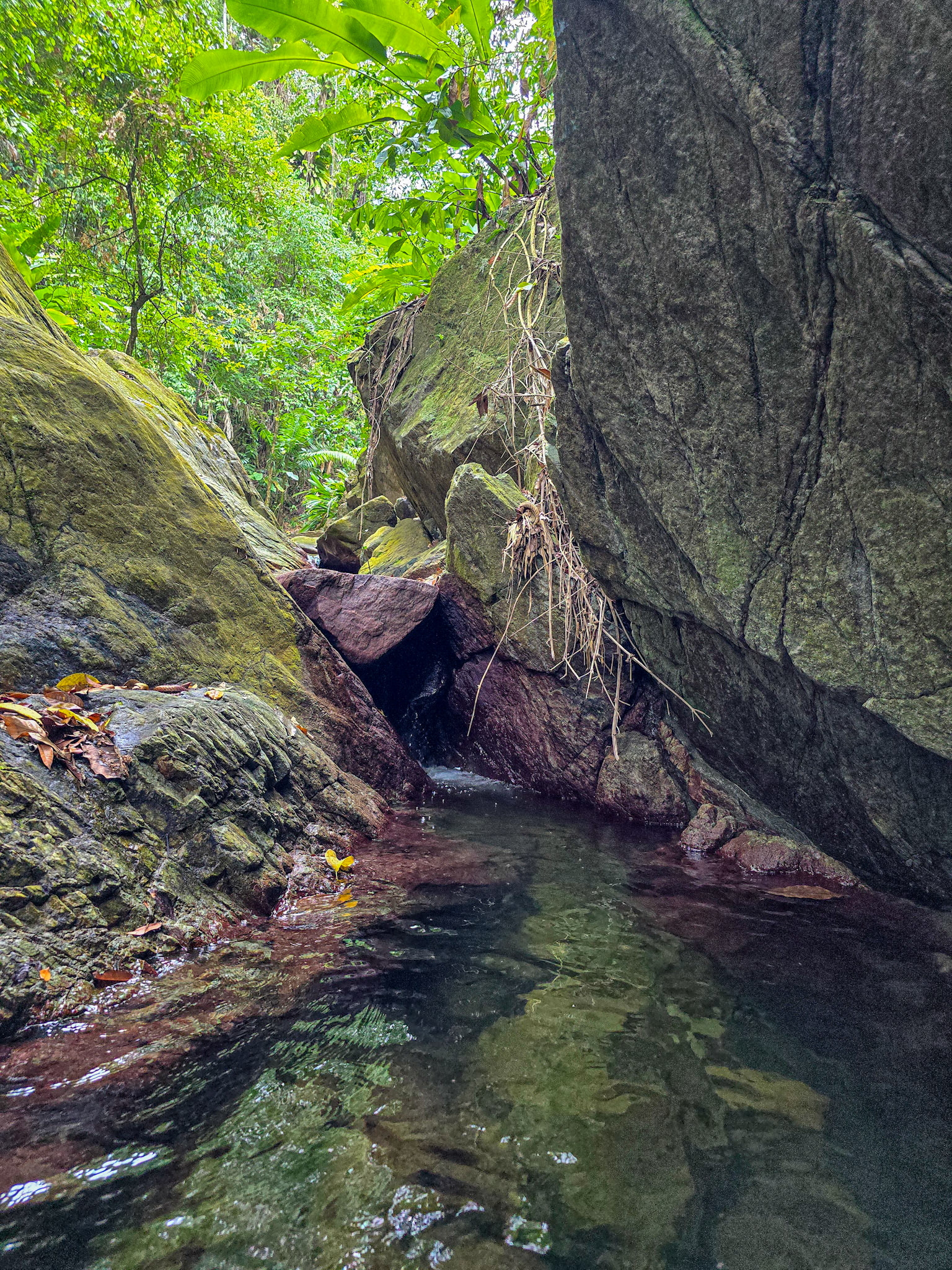Upriver Waterfall close to Parlatuvier Bay