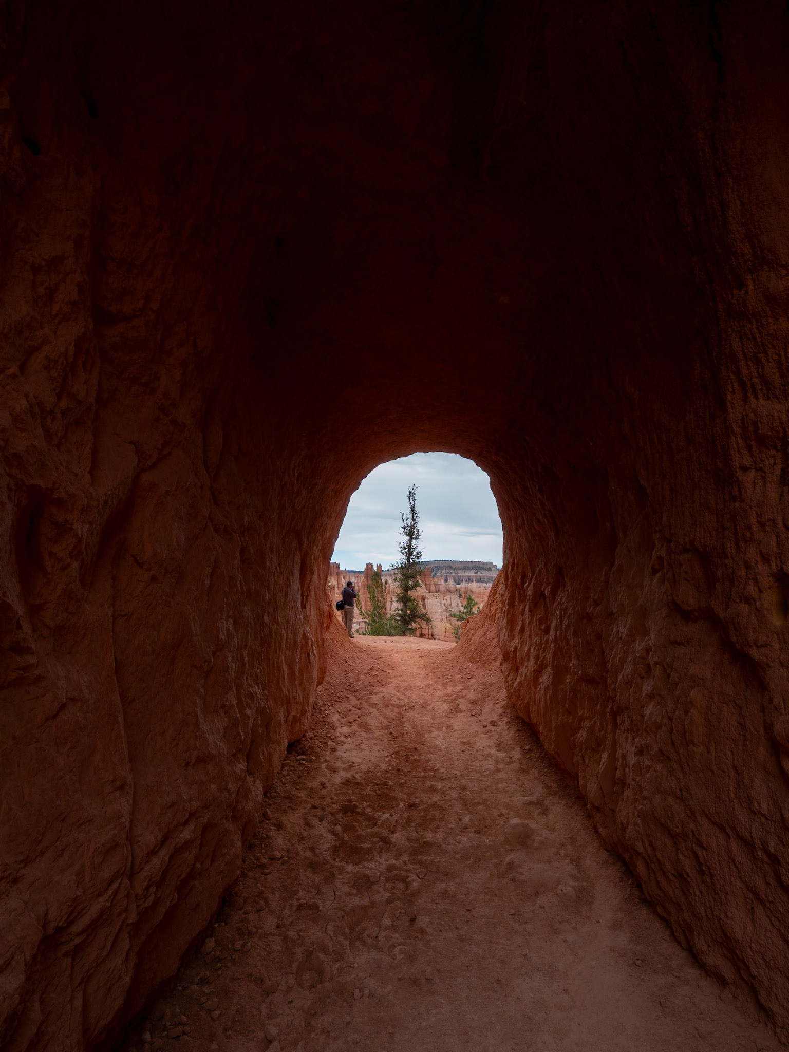P1123670 Bryce National Park