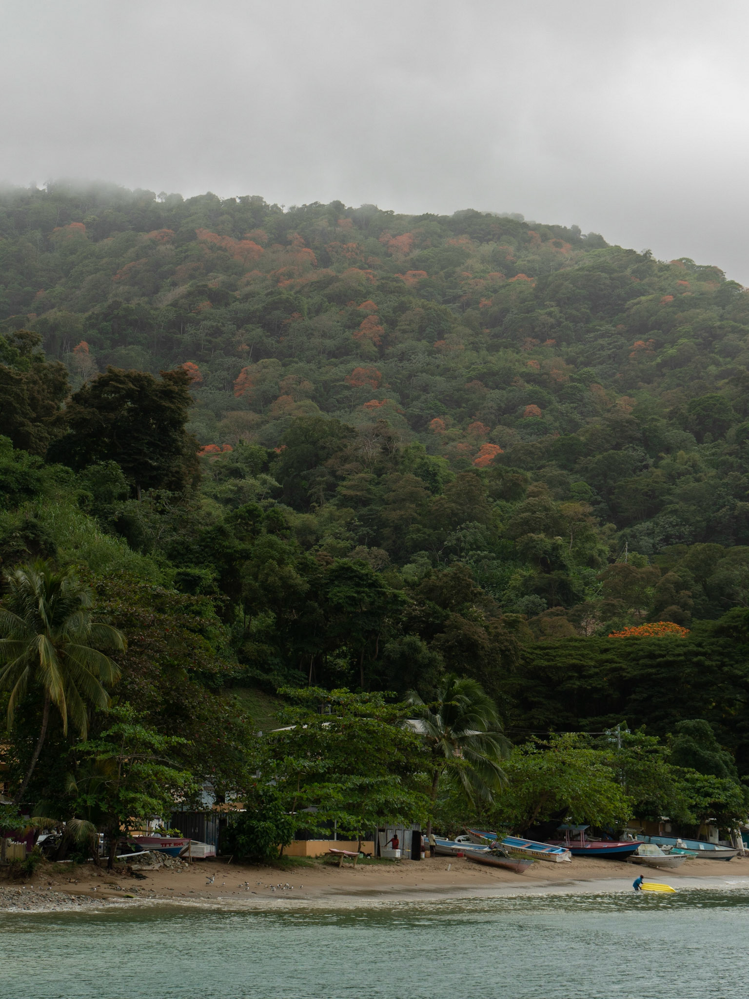 P1055716 Charlotteville