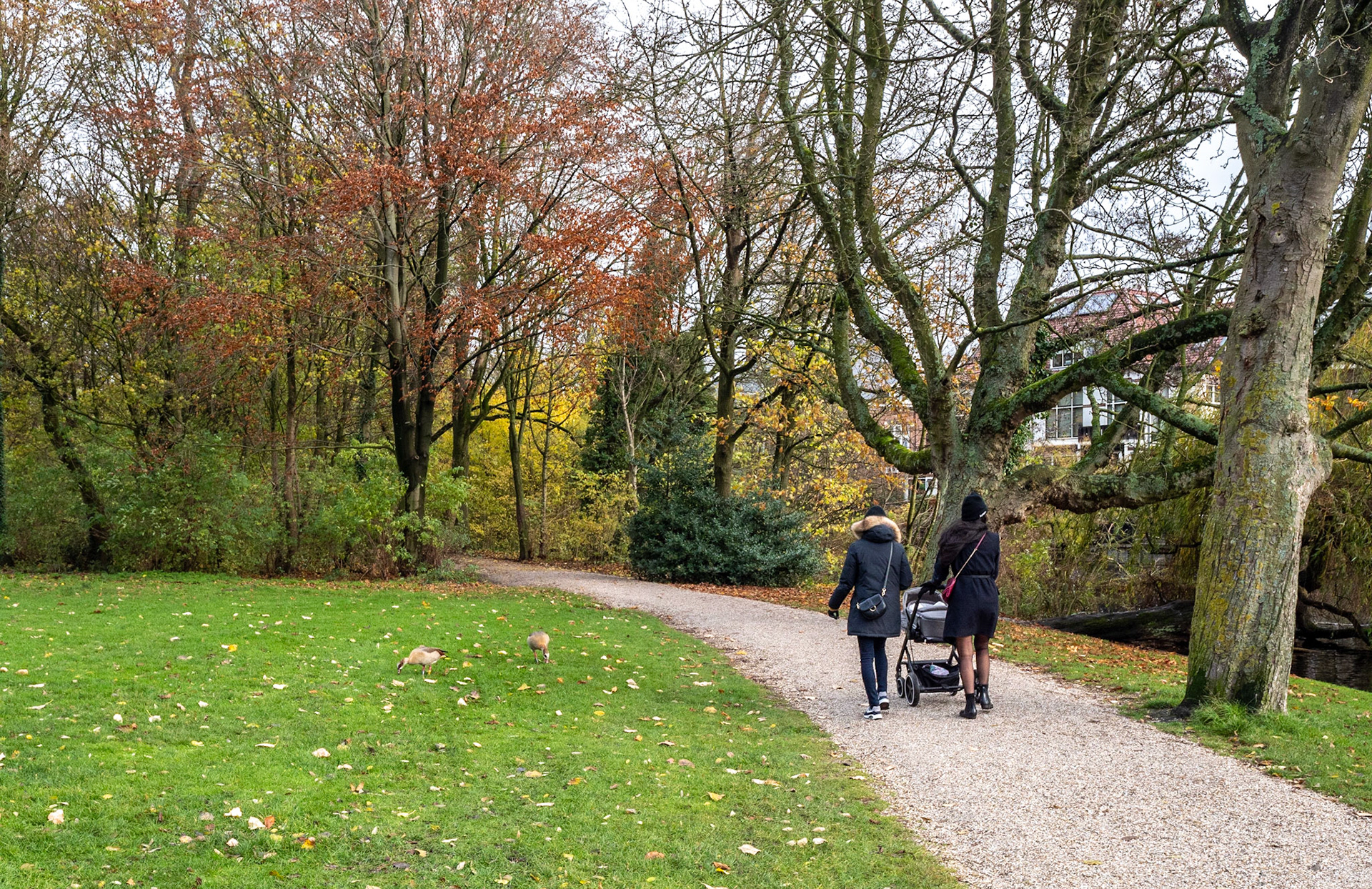 P1068124 Vondelpark