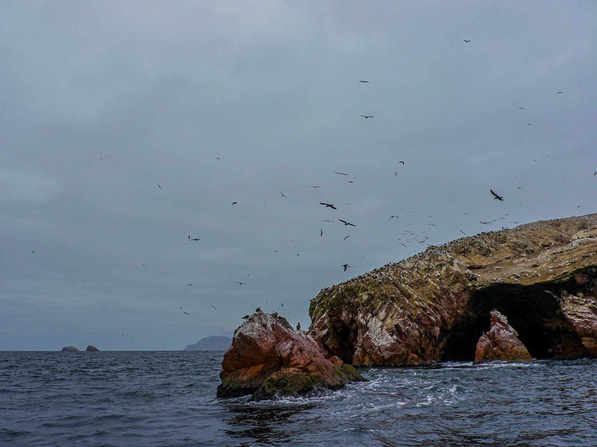 P1090552 Ballestas Islands