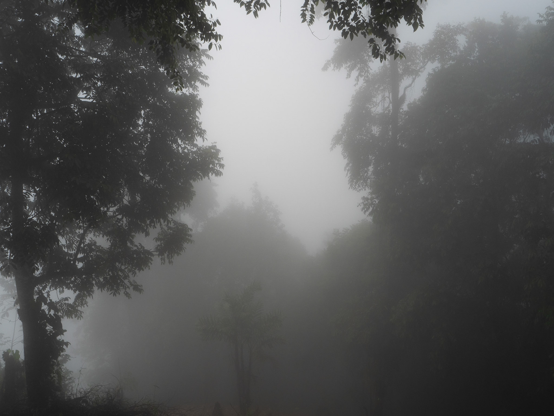 P1067475 Mist and more Mist
