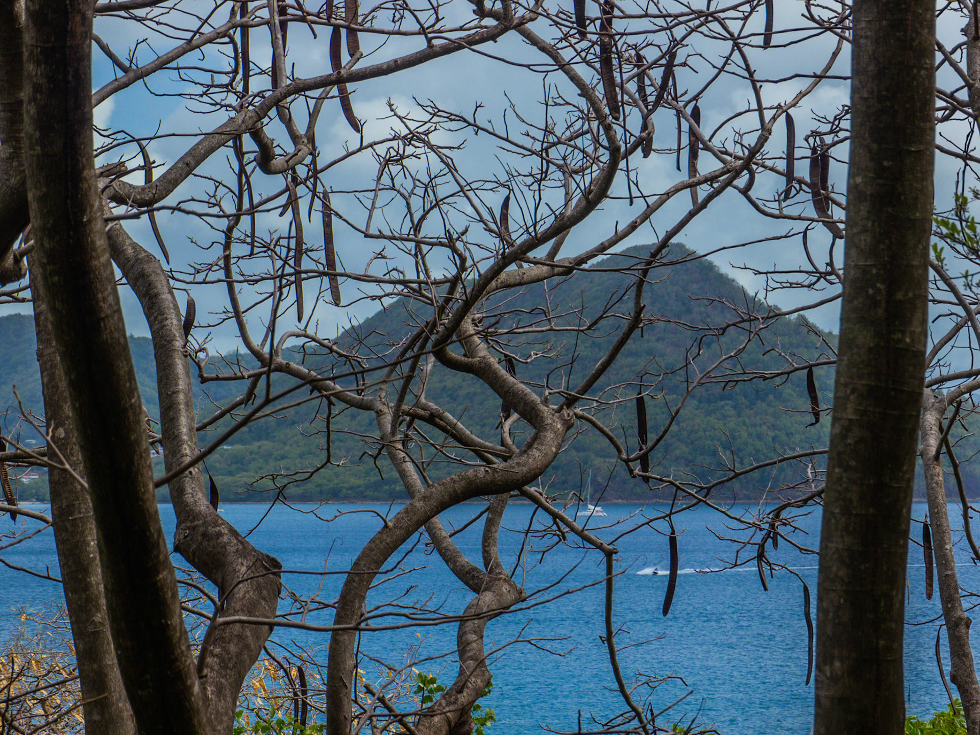 P1120267