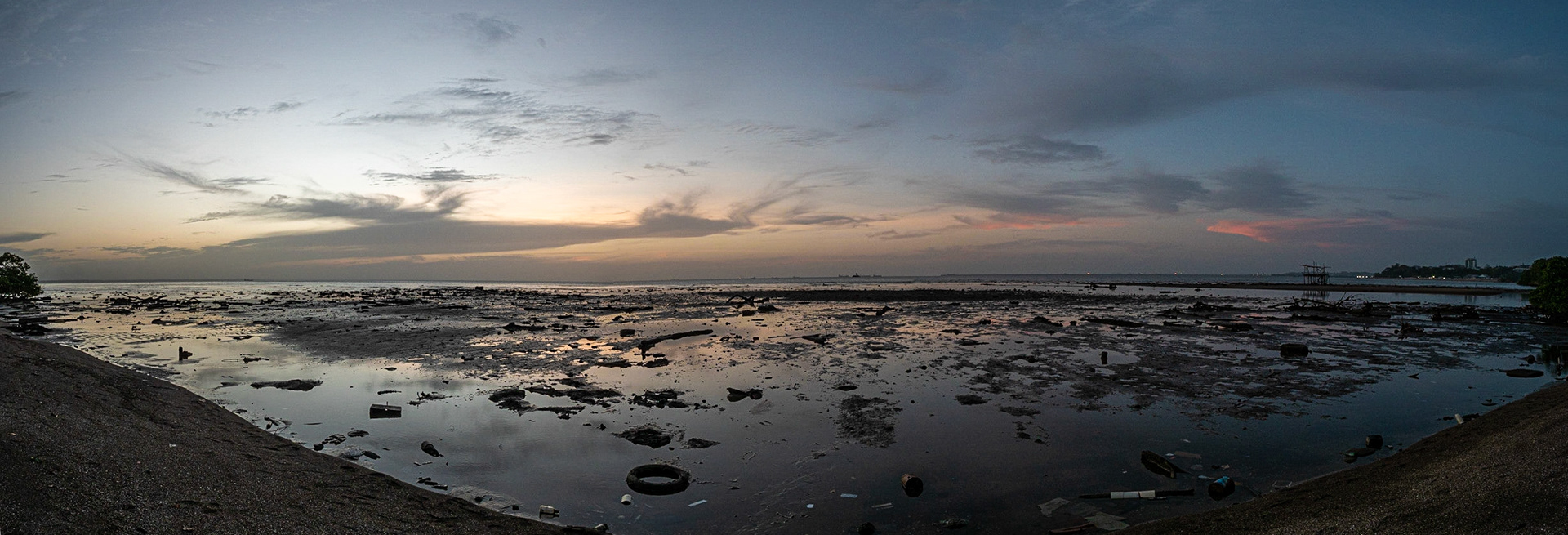 P1066662-Pano Mangrove West Coastline