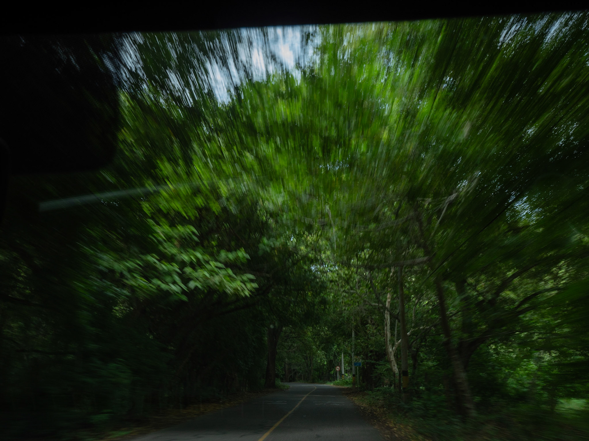 P1122635 Drive back to the city of Santa Fe, through a tunnel of trees.