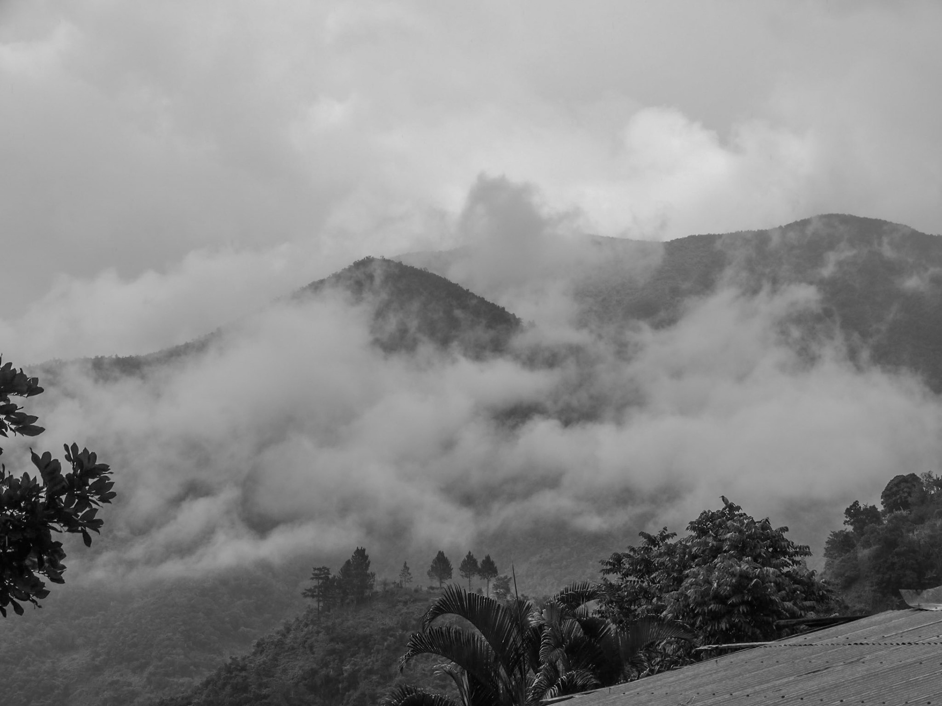 P1010998