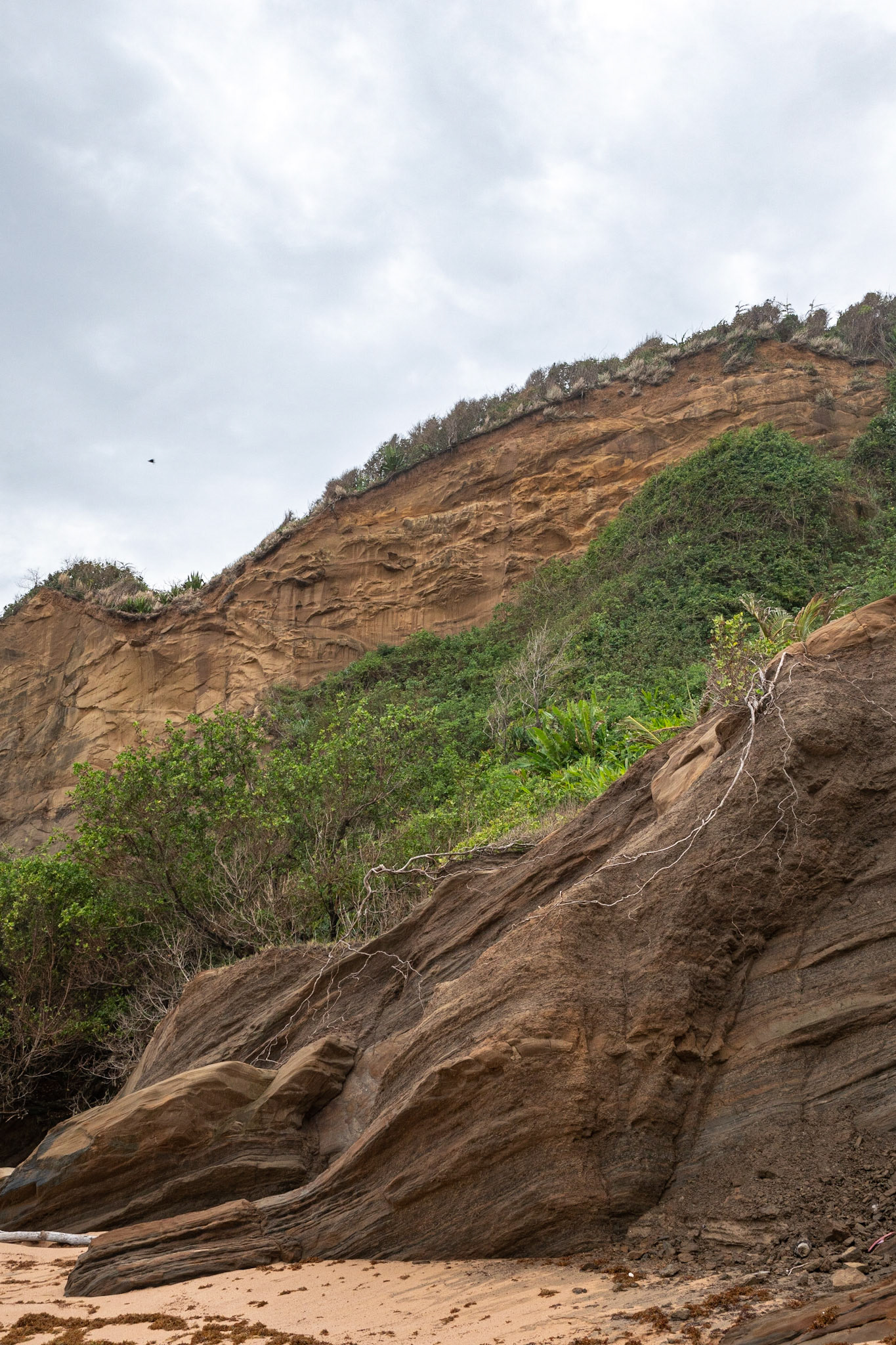 P1069727 Amazing pattern on cliff wallls