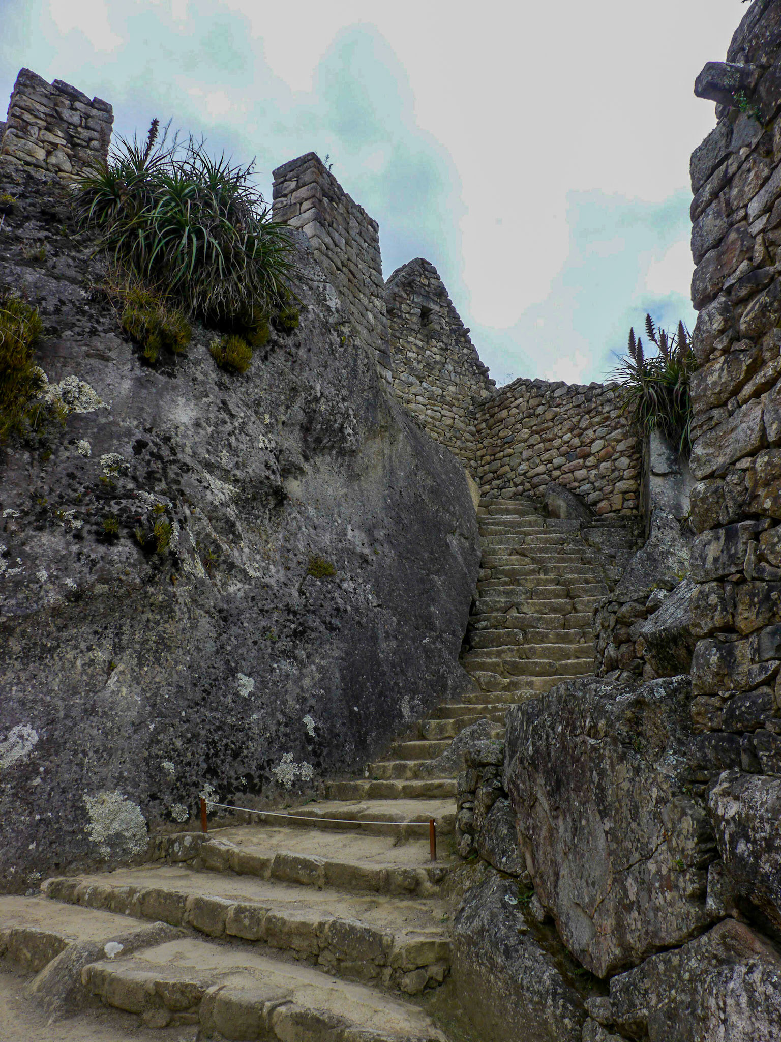 P1090177 Machu Picchu