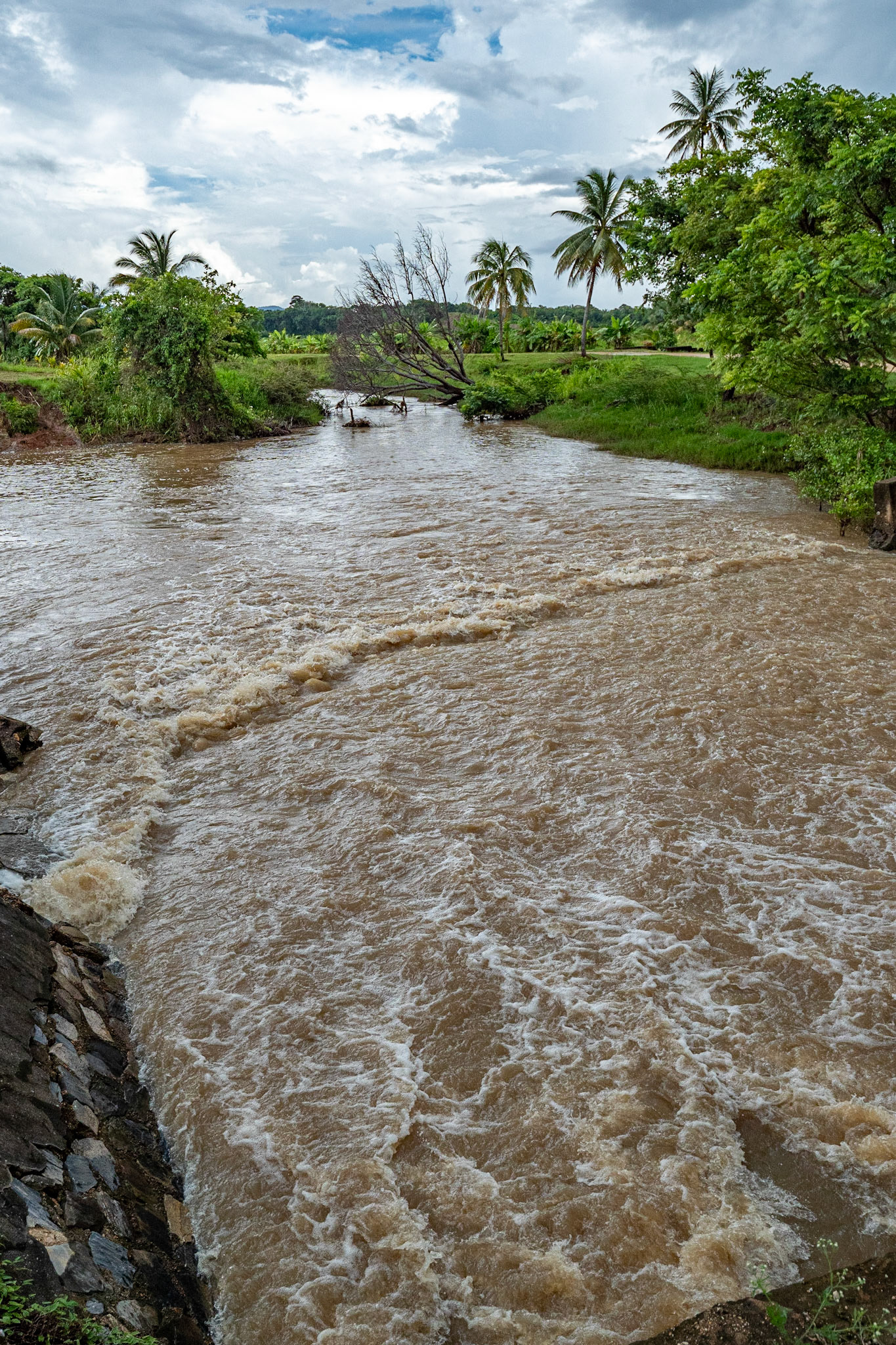 P1072289 Crossing the North Oropouche River