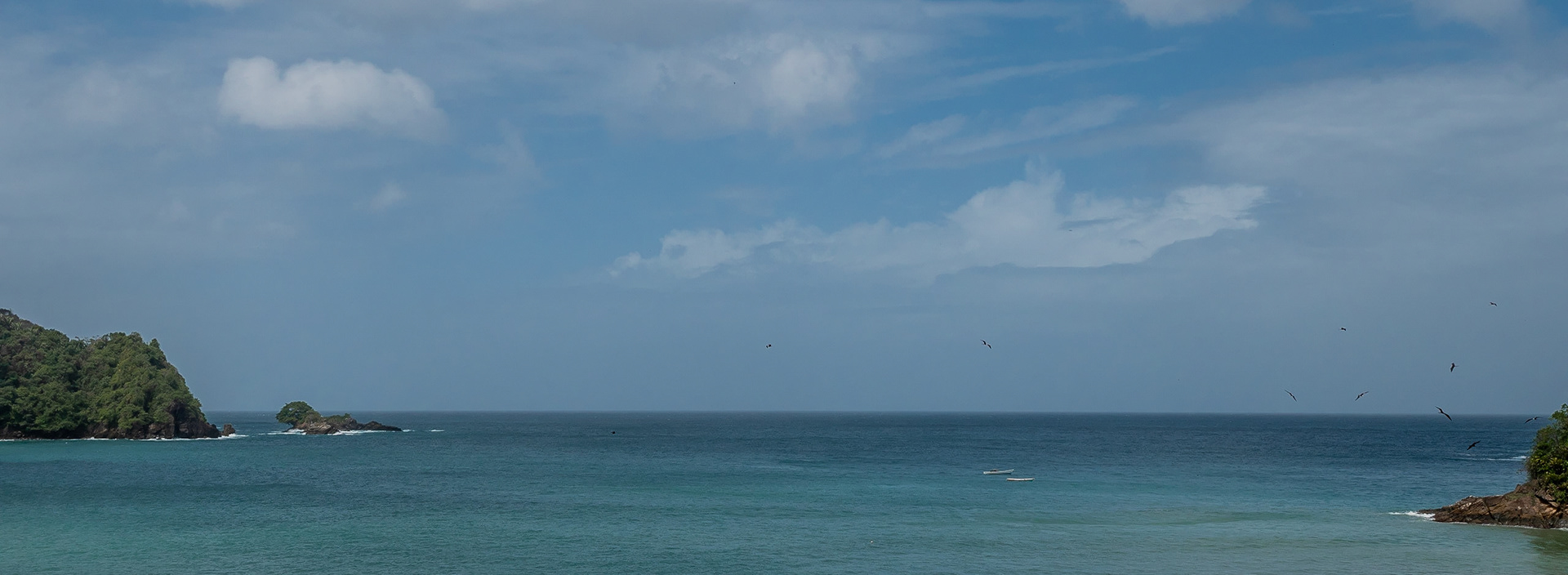 P1055821 West Coastline