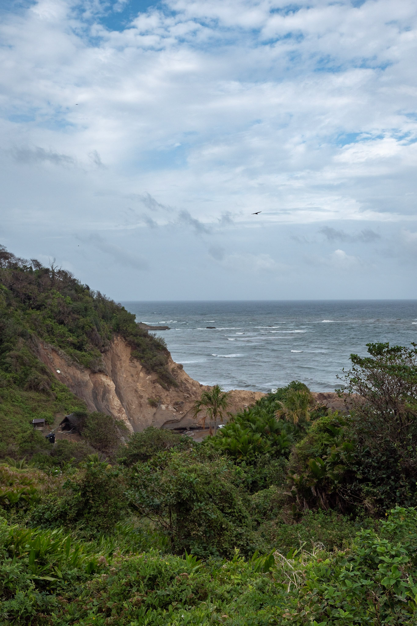P1069675 Ocean view