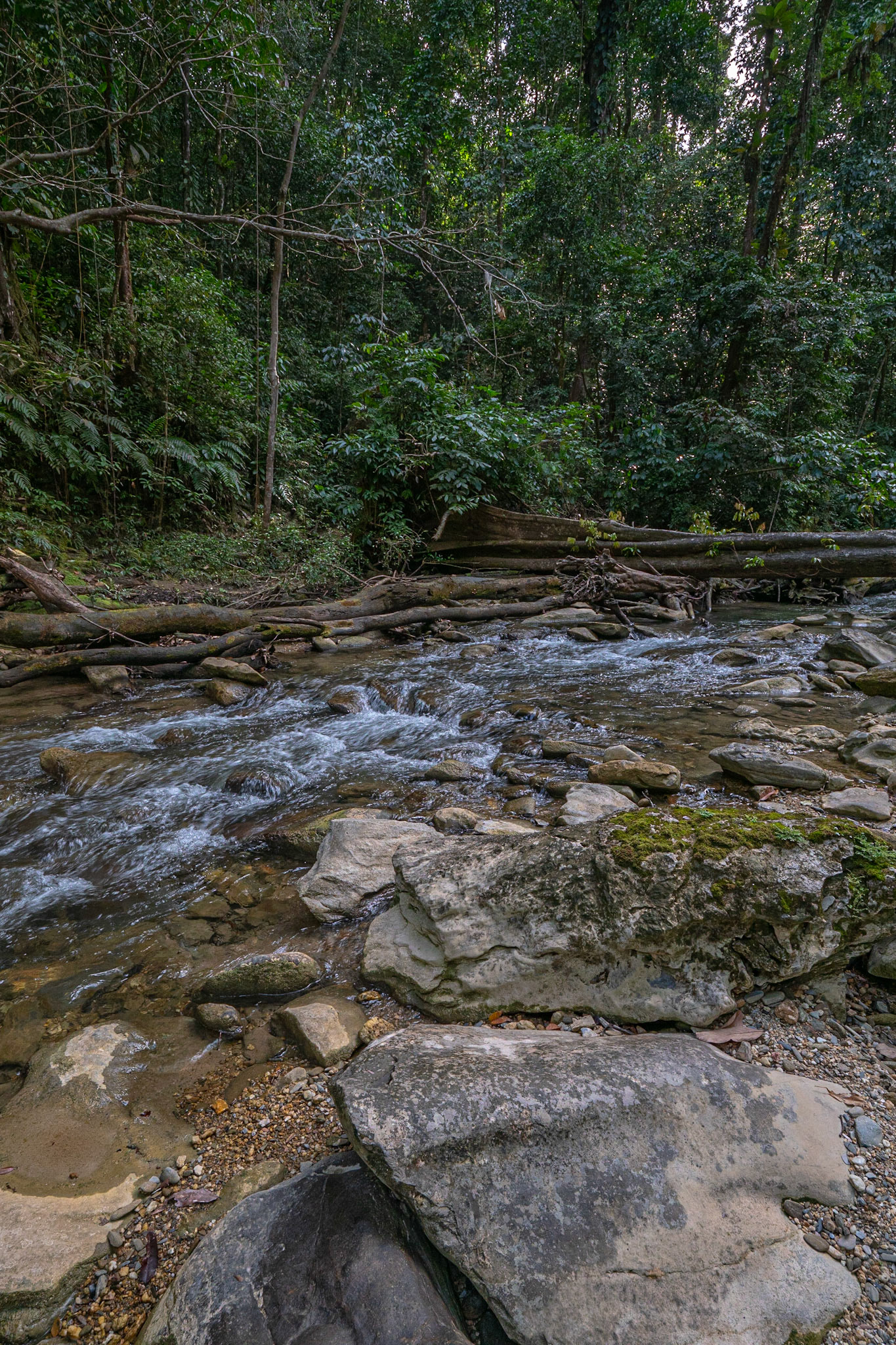 P1071078 Rapids