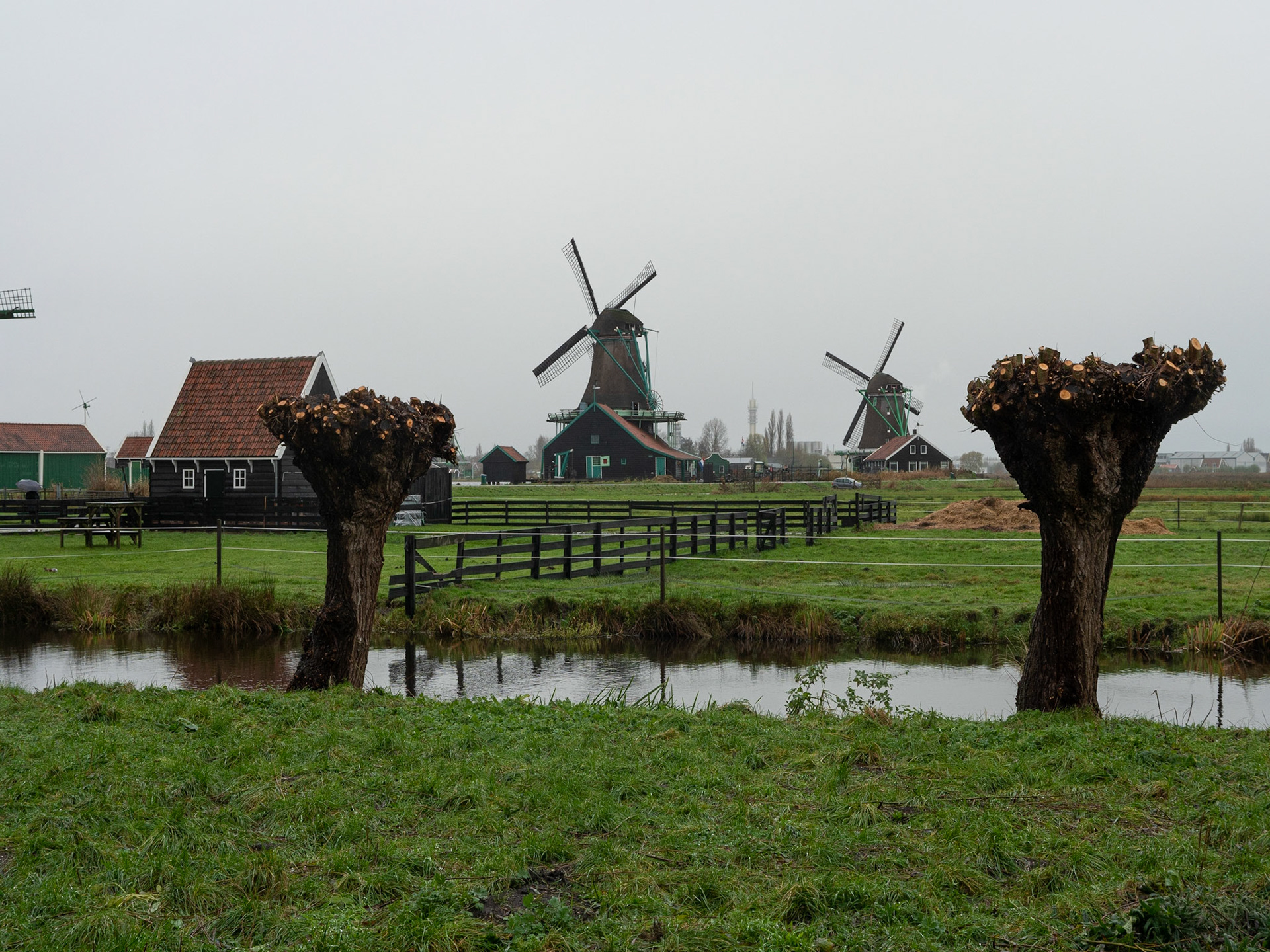 P1068385 Windmills of Zaanse Schans
