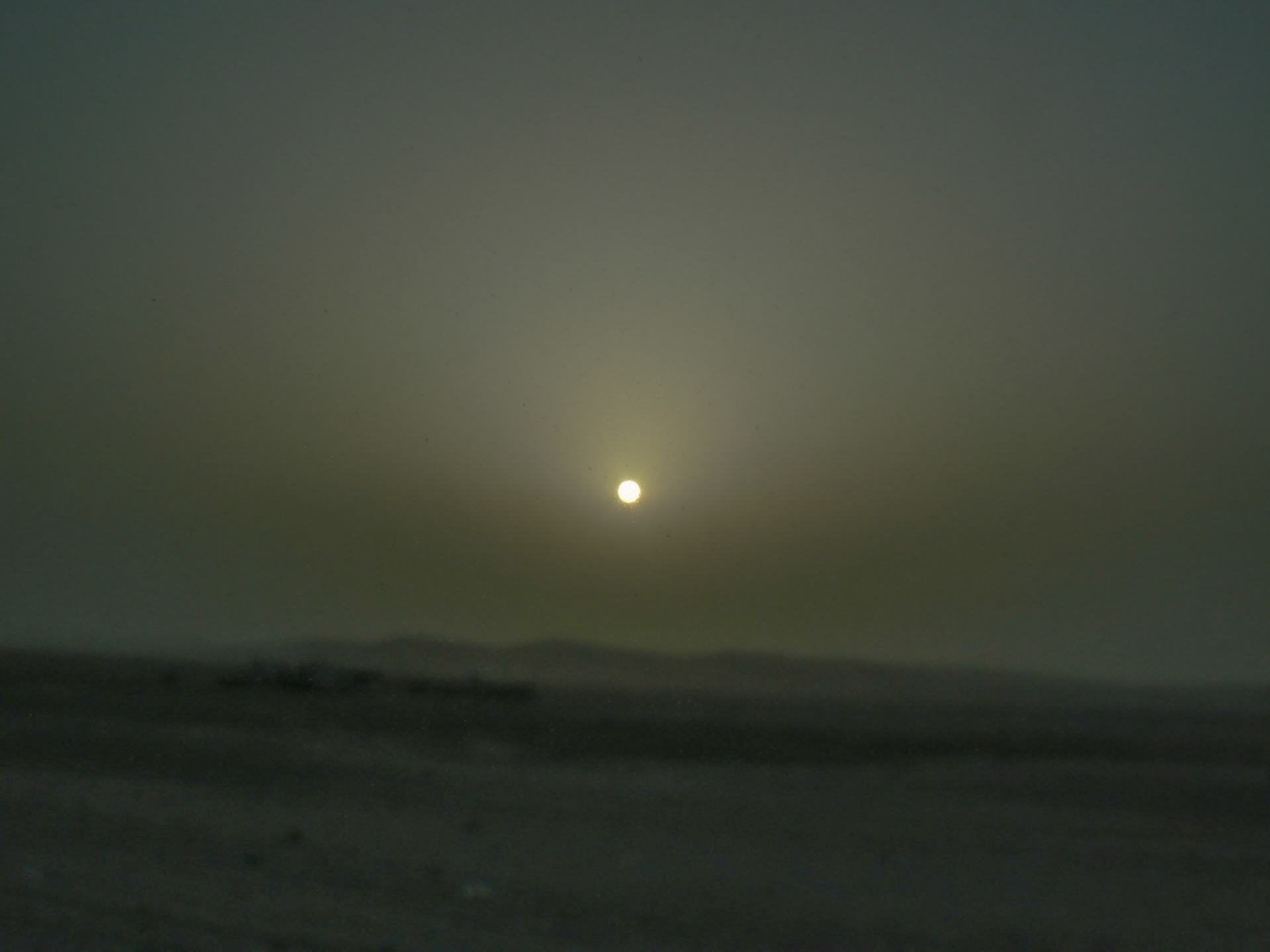 P1050436 Desert