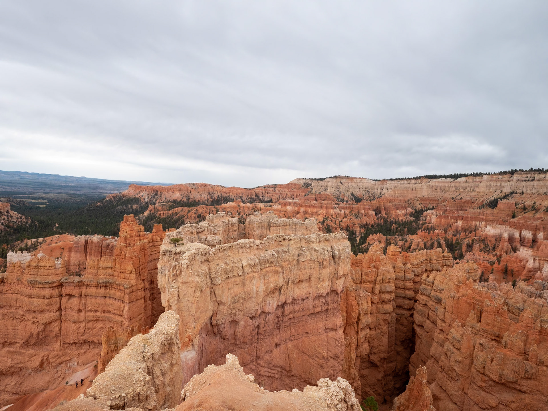 P1123845 Bryce National Park