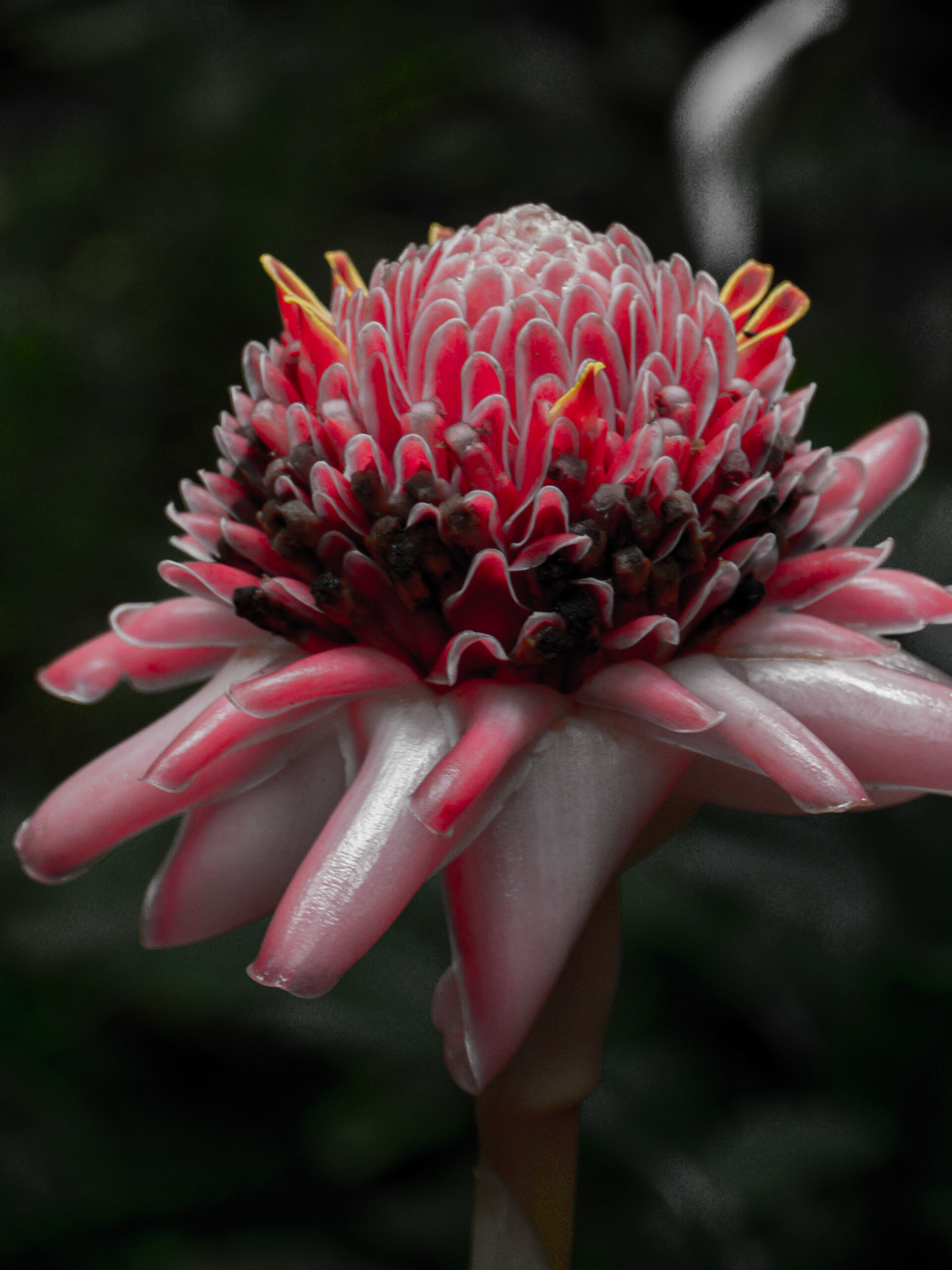 P1110774