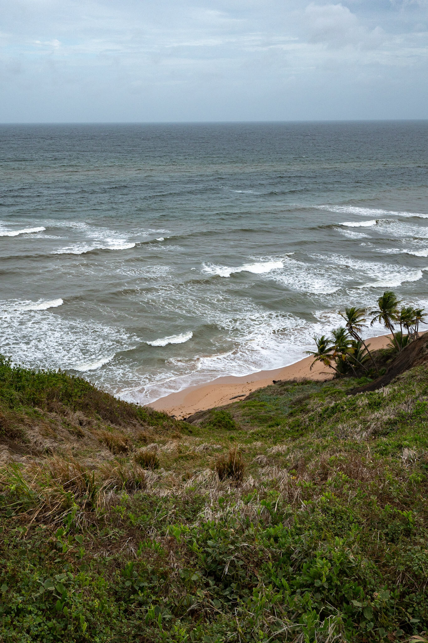 P1069681-2 Ocean View