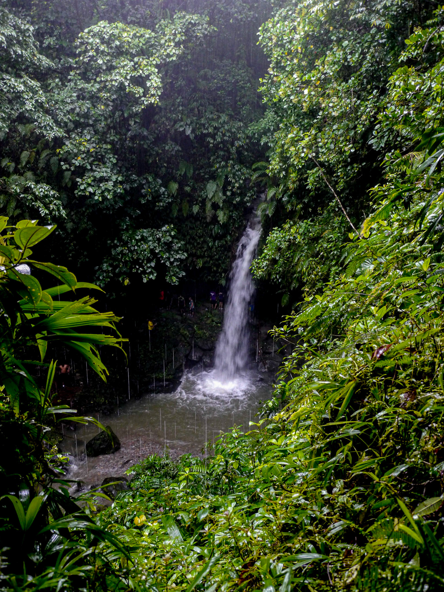 P1040497