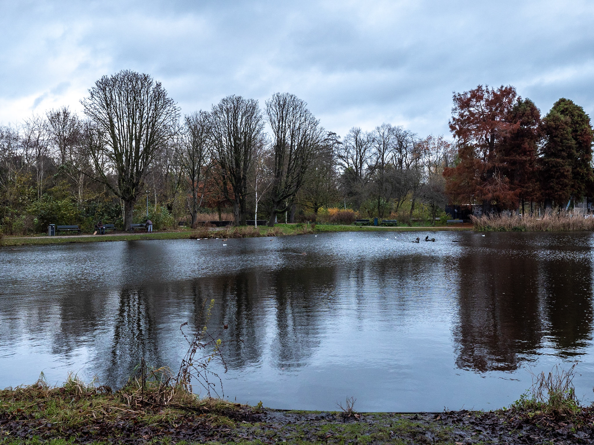 P1068142 Vondelpark
