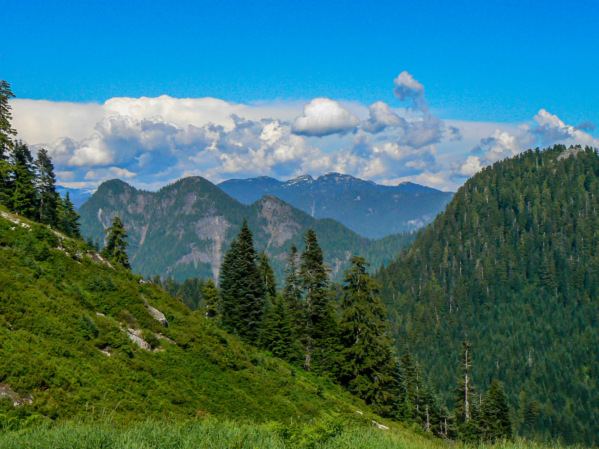 P1020195 Trip to the Mountains