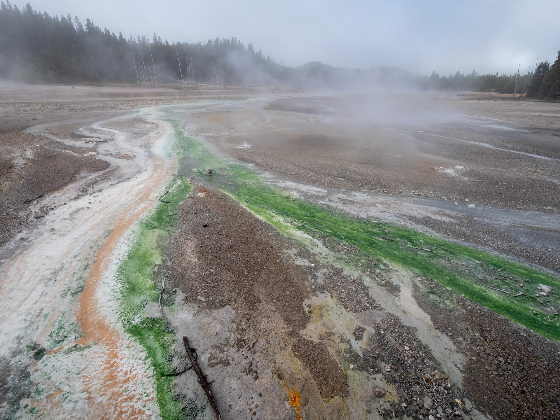 P1124466 Yellowstone National Park