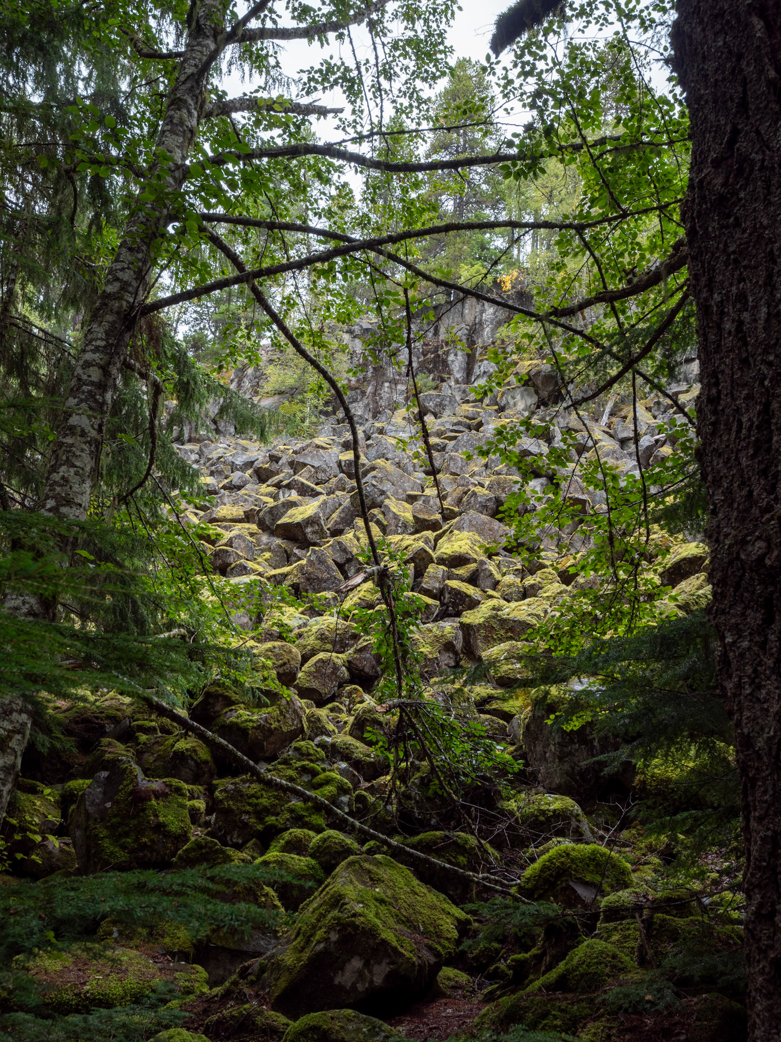 Brandywine Falls Lookout Trail