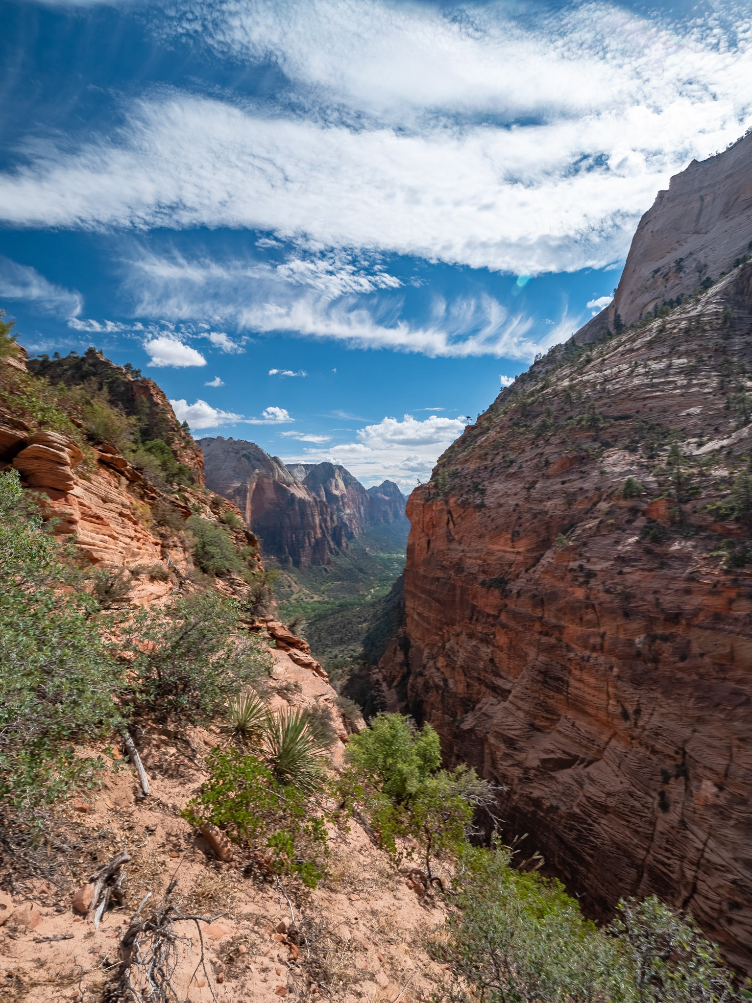 P1072788-HDR A view of the canyon