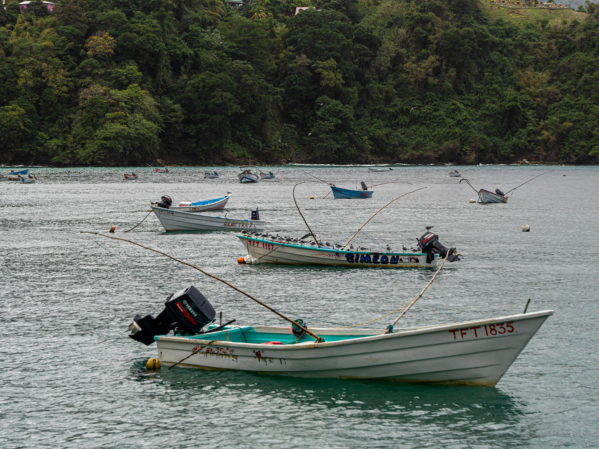 P1055713 Charlotteville