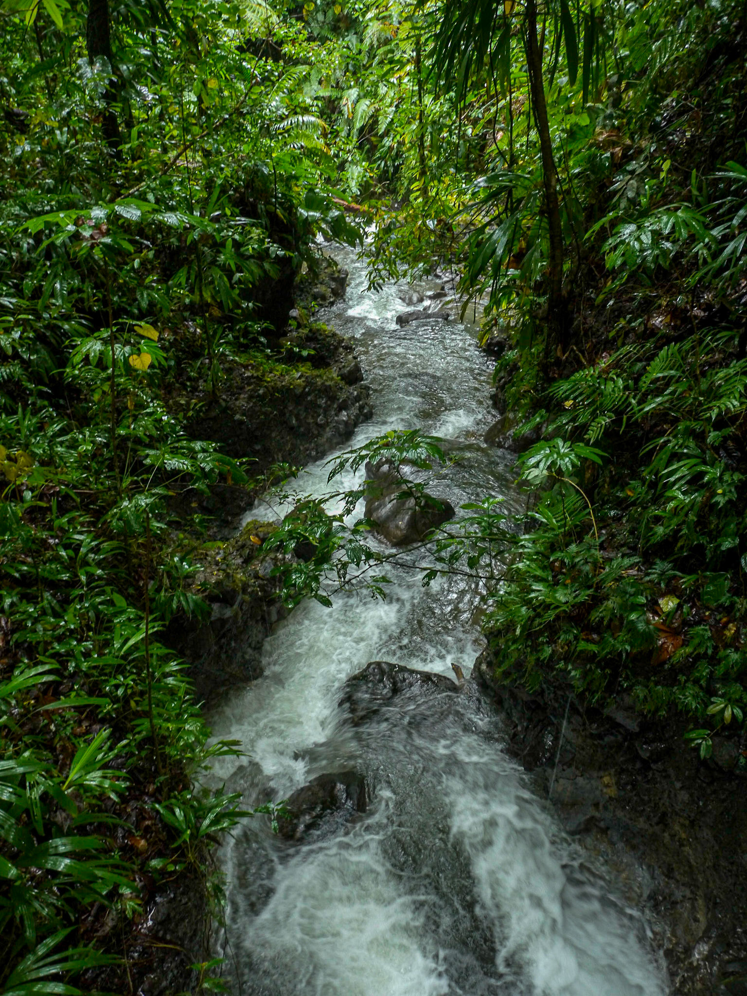 P1040527