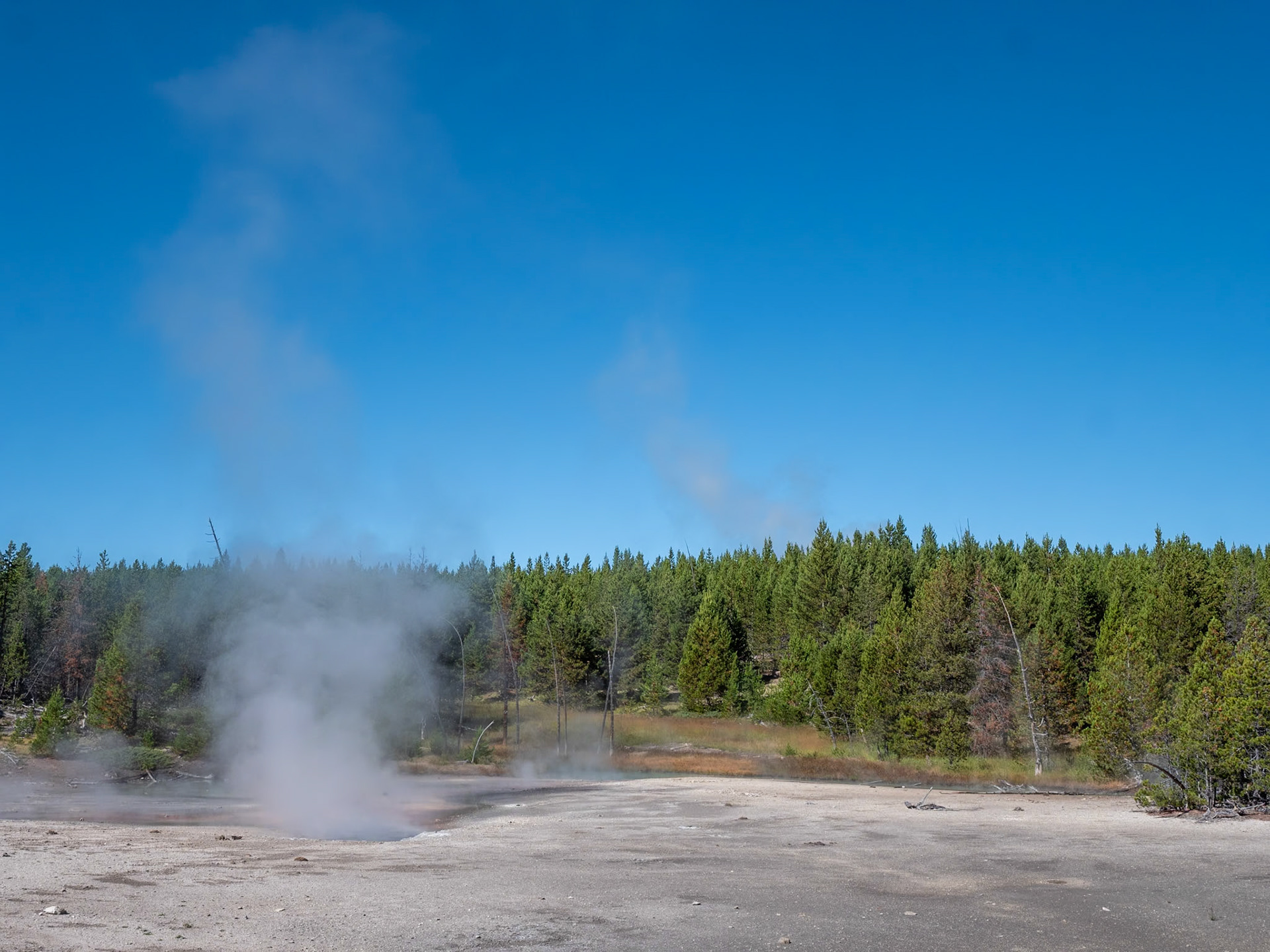 P1124510 Yellowstone National Park