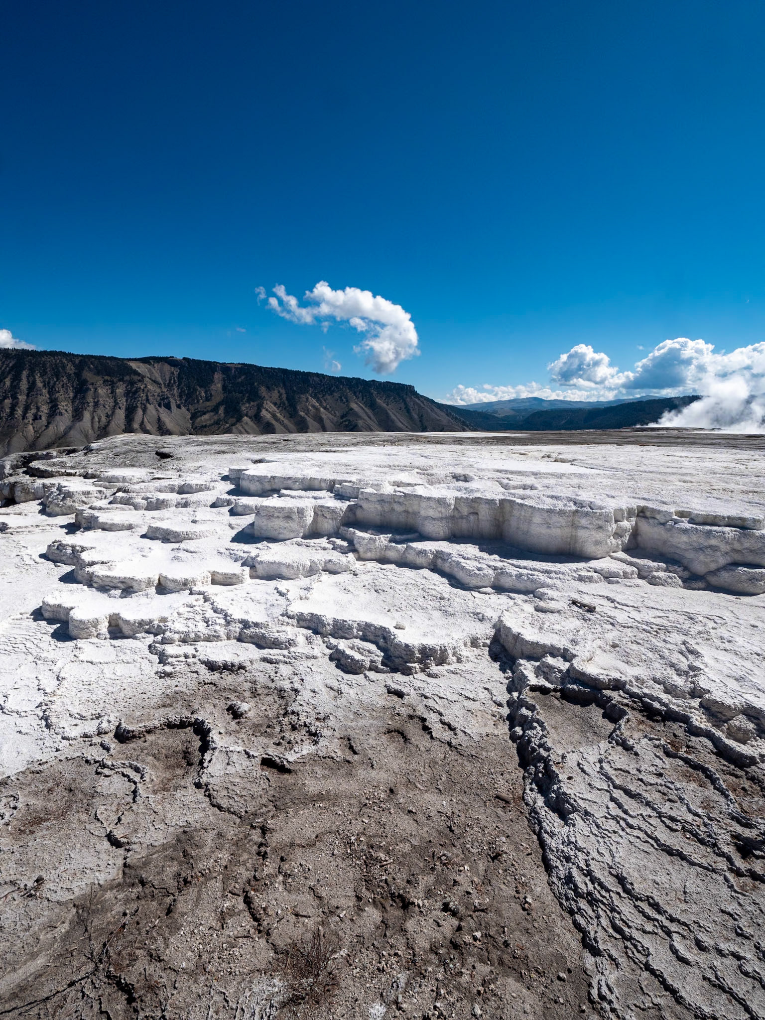 P1124570 Yellowstone National Park