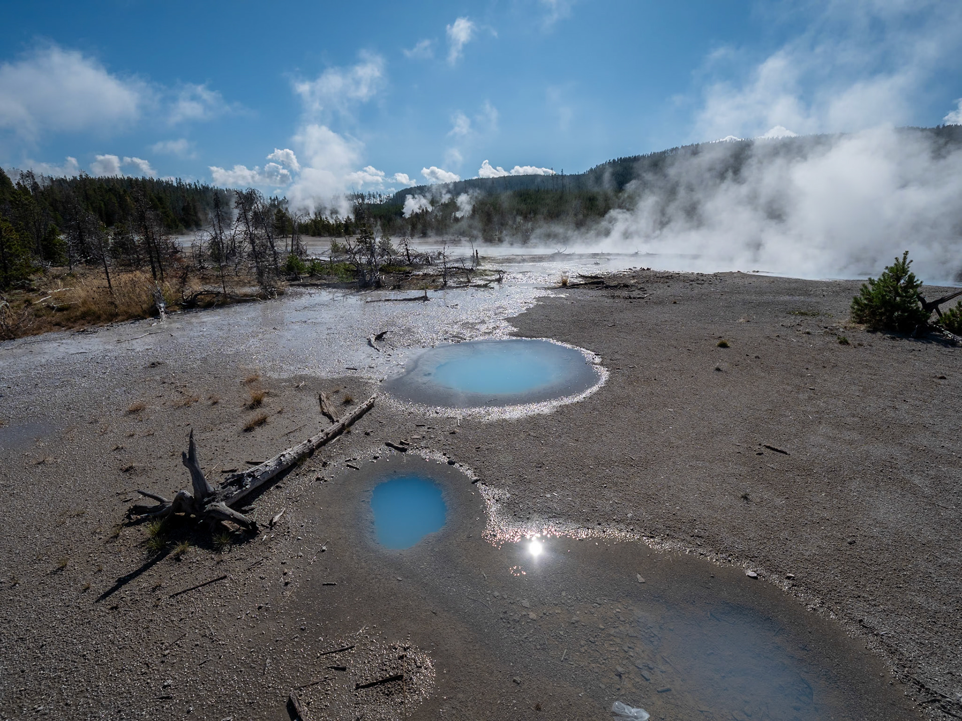 P1124503 Yellowstone National Park