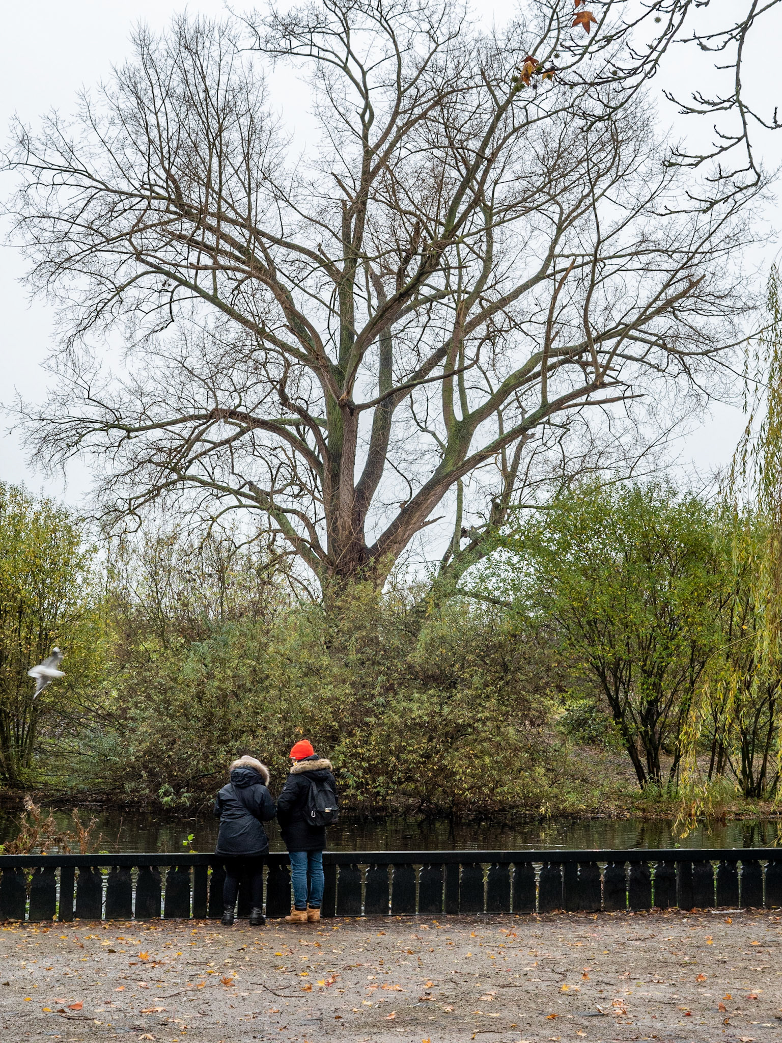 P1068254 Vondelpark