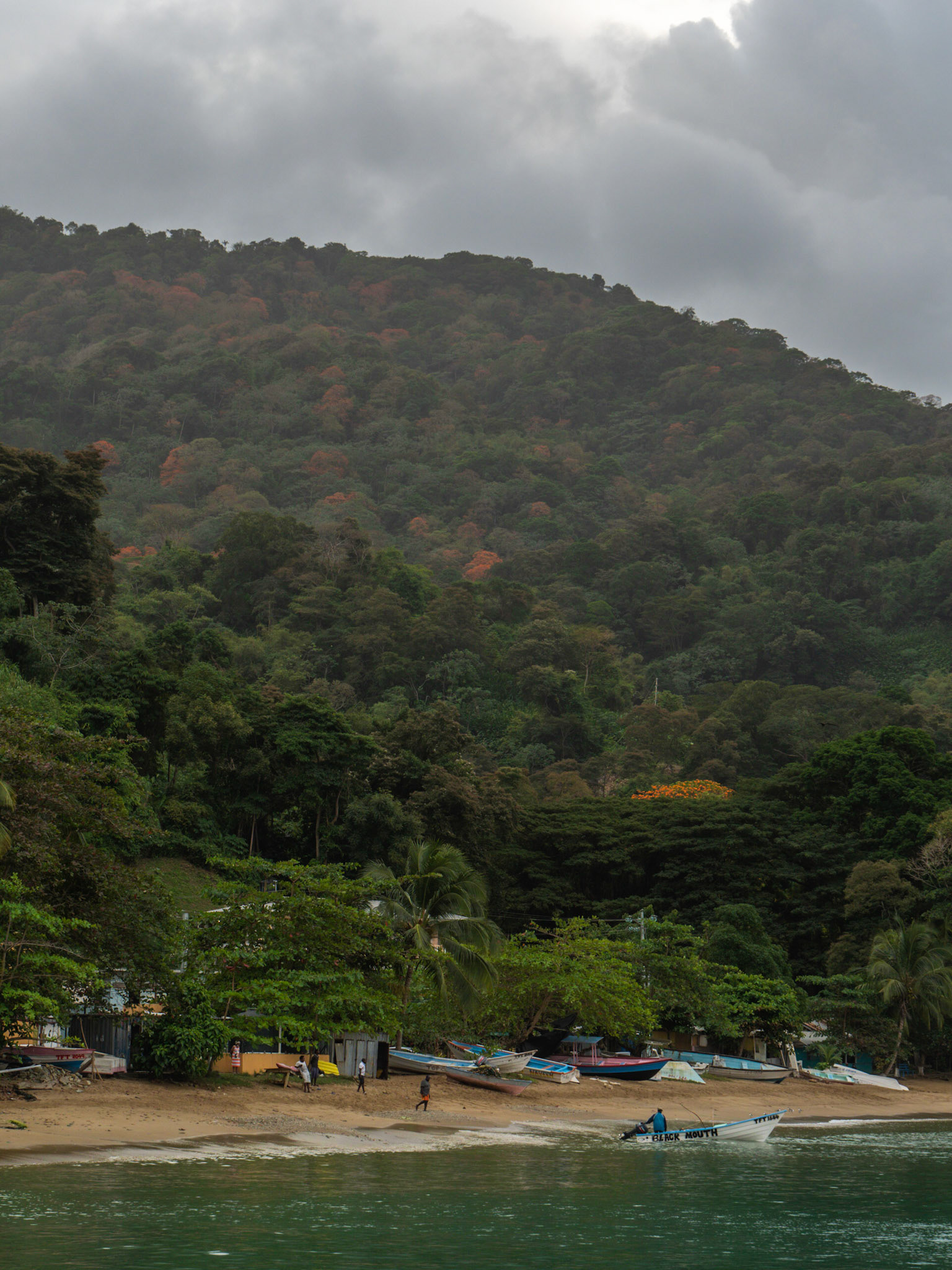 P1055179 Charlotteville