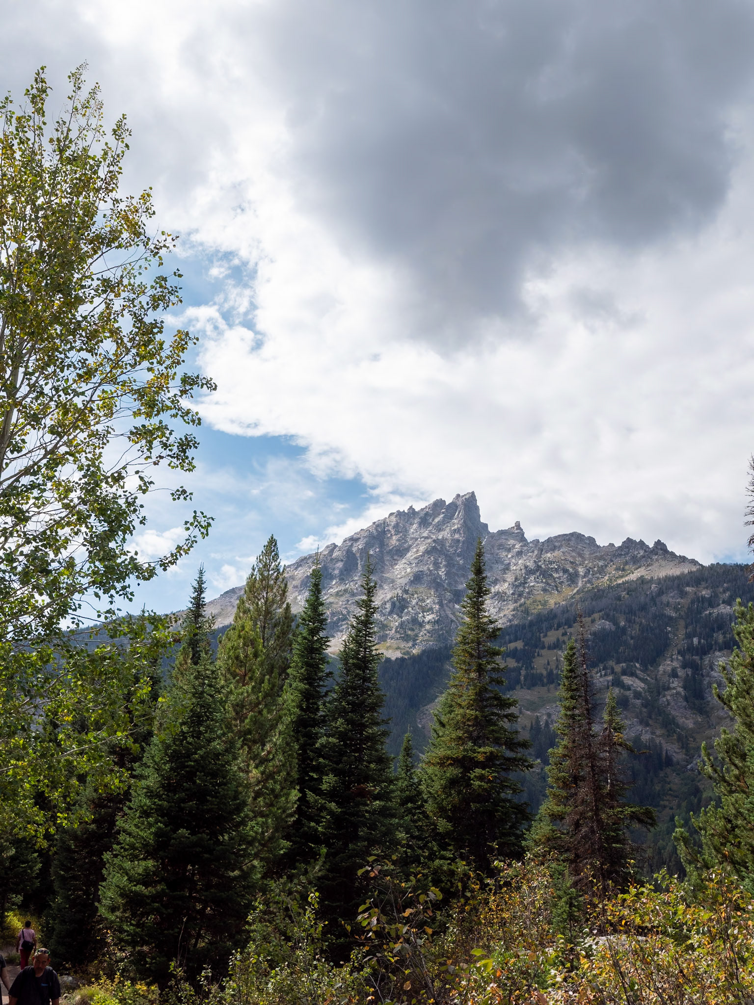 P1123976 Grand Teton National Park
