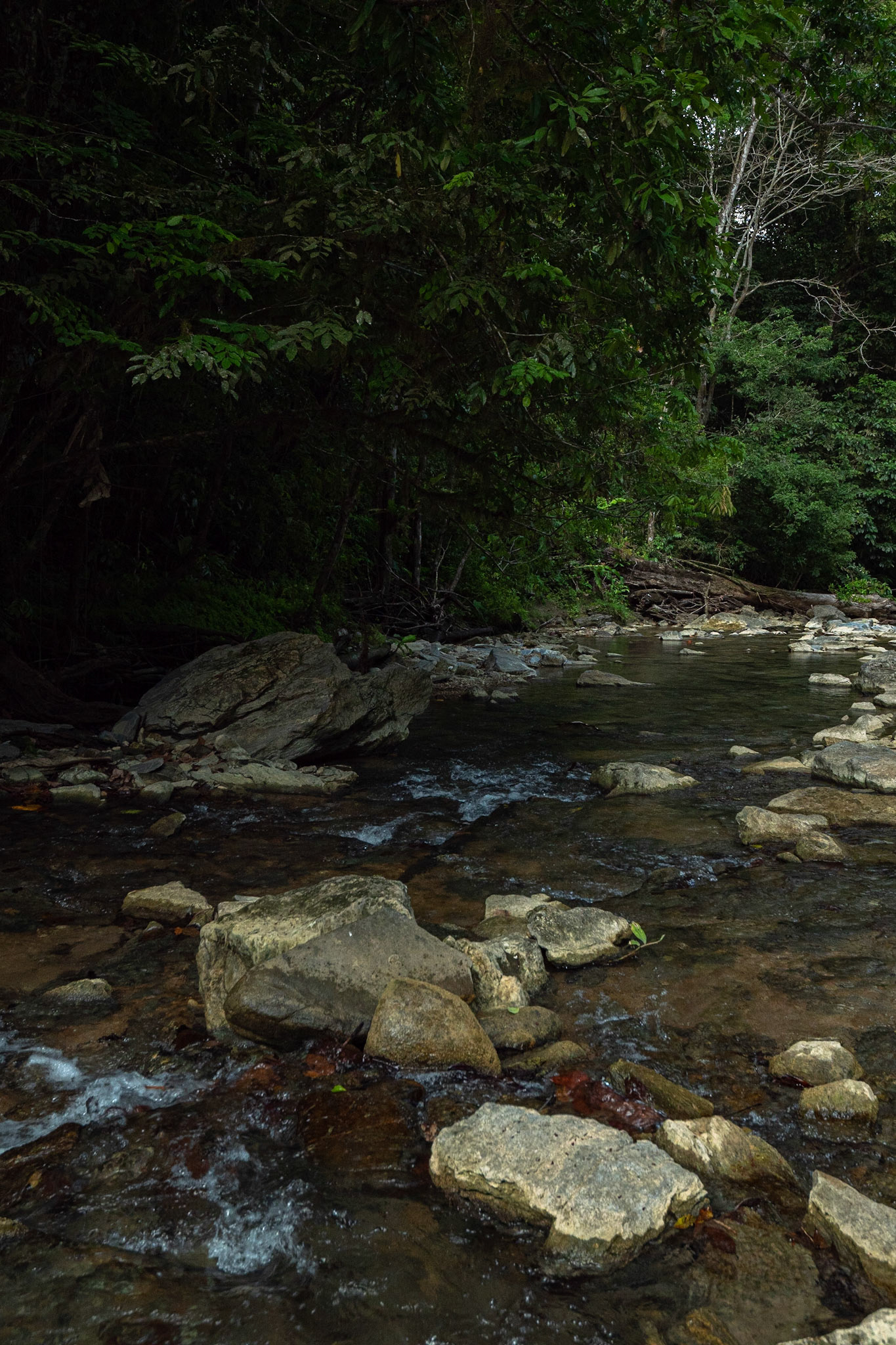 P1071052 River is littered with rocks