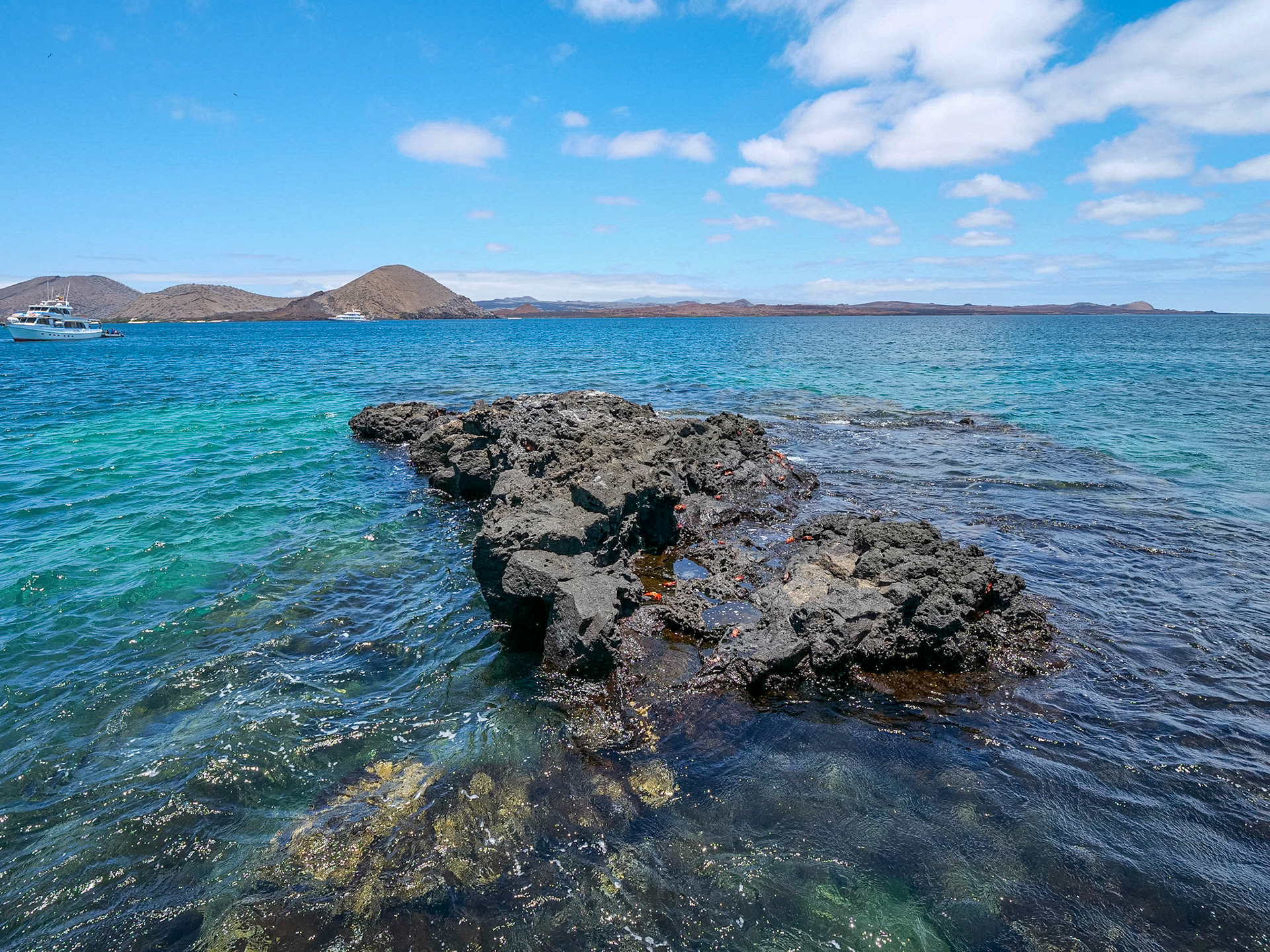 P1001665 Bartolomé Island Galapagos