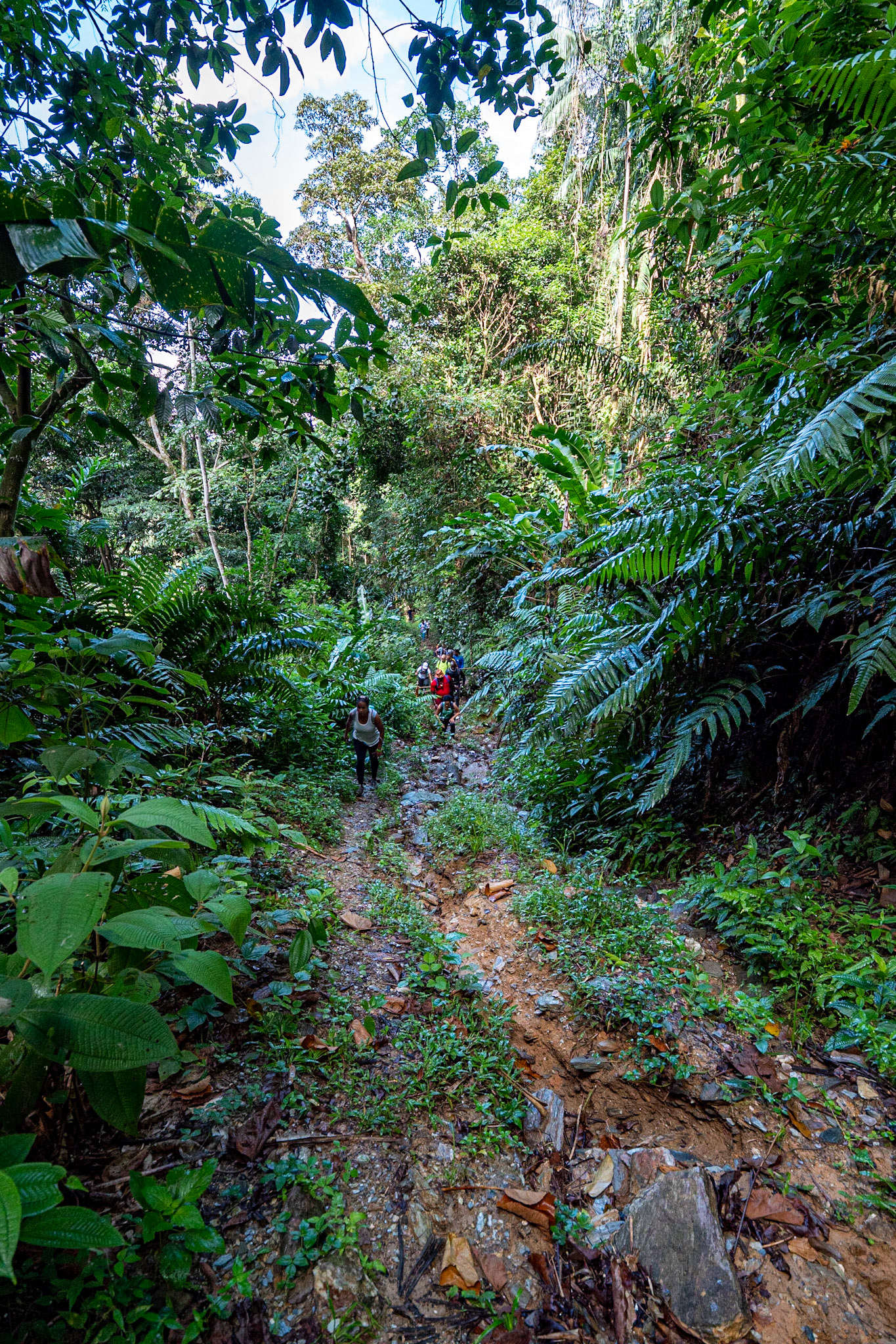 P1072267 The climb continues