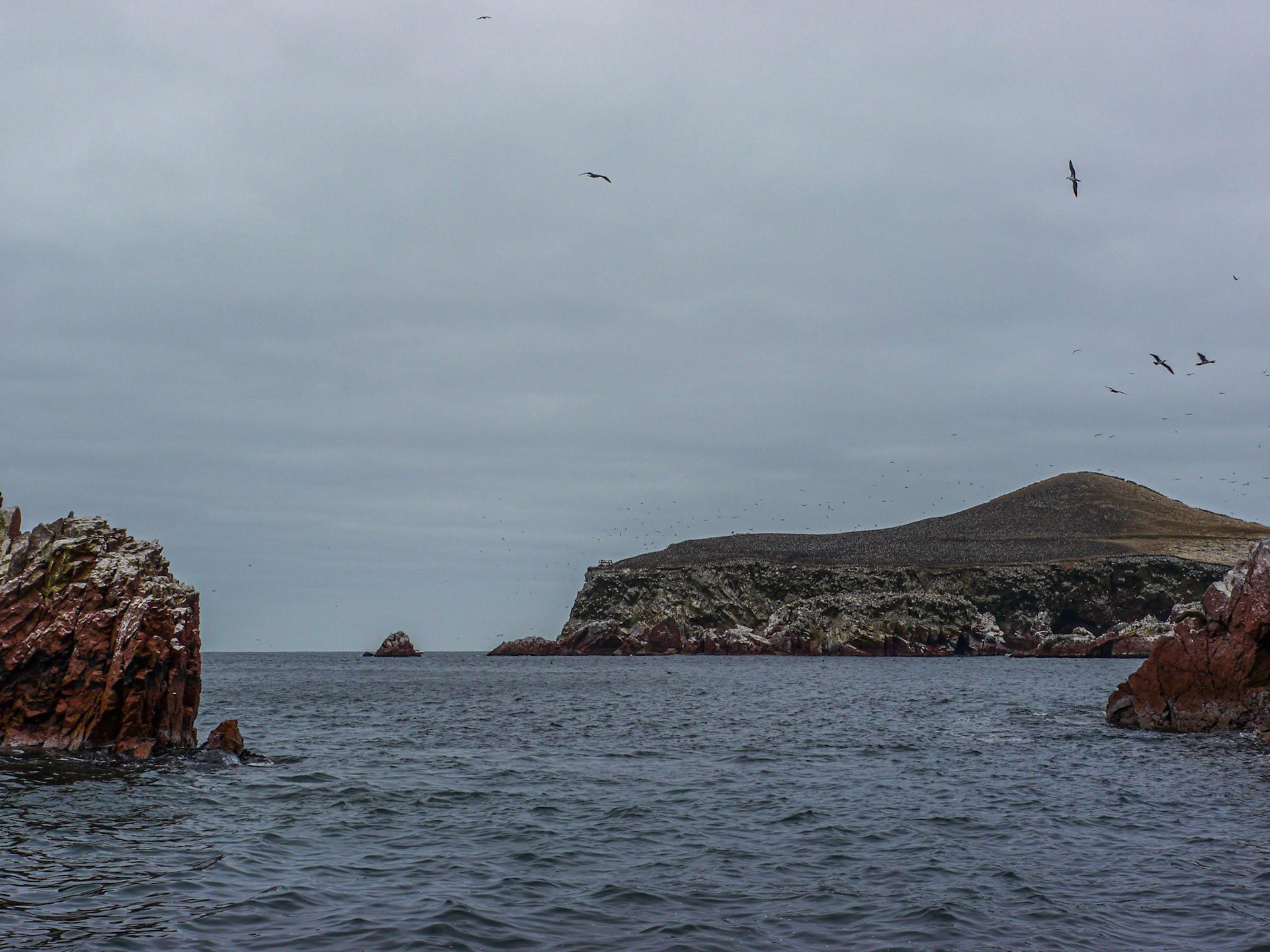 P1090671 Ballestas Islands